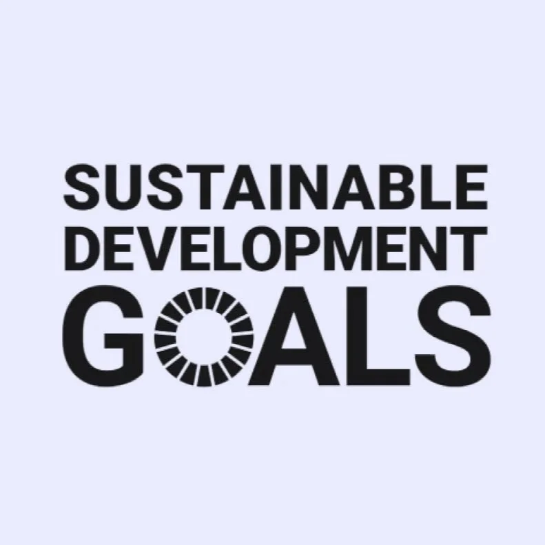 Die Sustainable Development Goals - für diese Ziele setzen wir uns bei Fibershed DACH ein