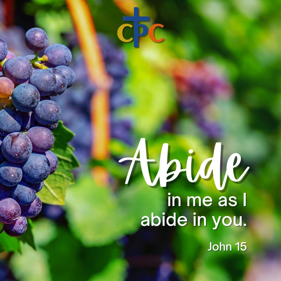 It is time for our Sunday Service preview.  On Sunday, April 28th at 10 am, we will be reading and learning from John 15 and 1 John 4.  Rev. Strother Gross will be speaking on &quot;Abiding in Christ.&quot;
We invite you to join us!  If you are new t