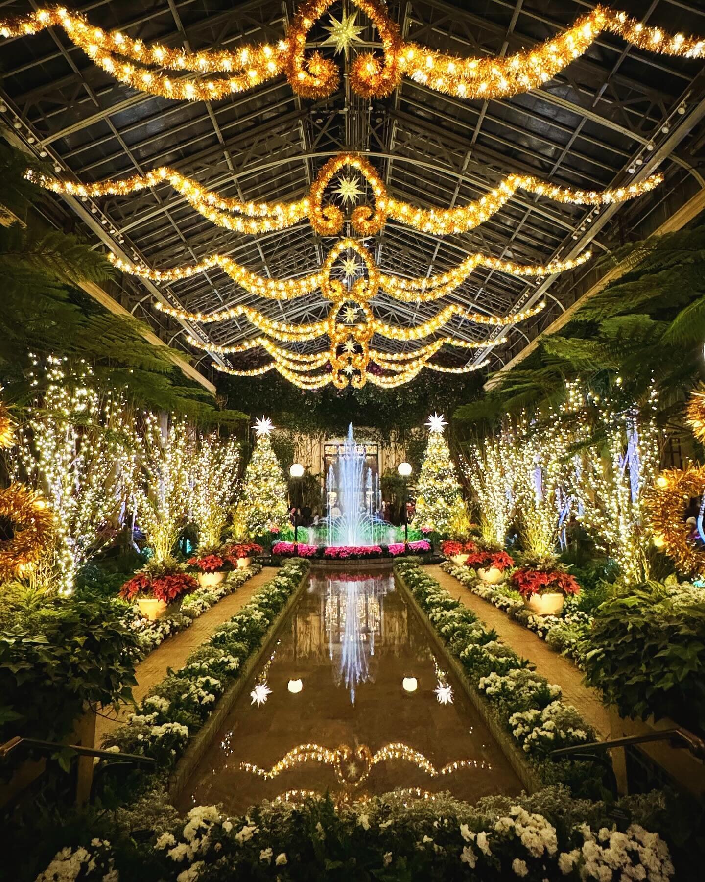 Been 11 years since my last visit to Longwood gardens, but this year I finally got the chance to revisit! Still one of the most beautiful gardens and Christmas light display in the US, a must visit in December if you are in the PA area. #longwoodgard