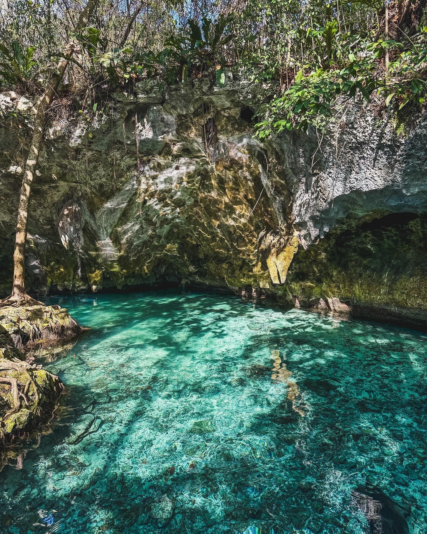 Cenotes in the Riviera Maya region

#shotoniphone #tulummexico