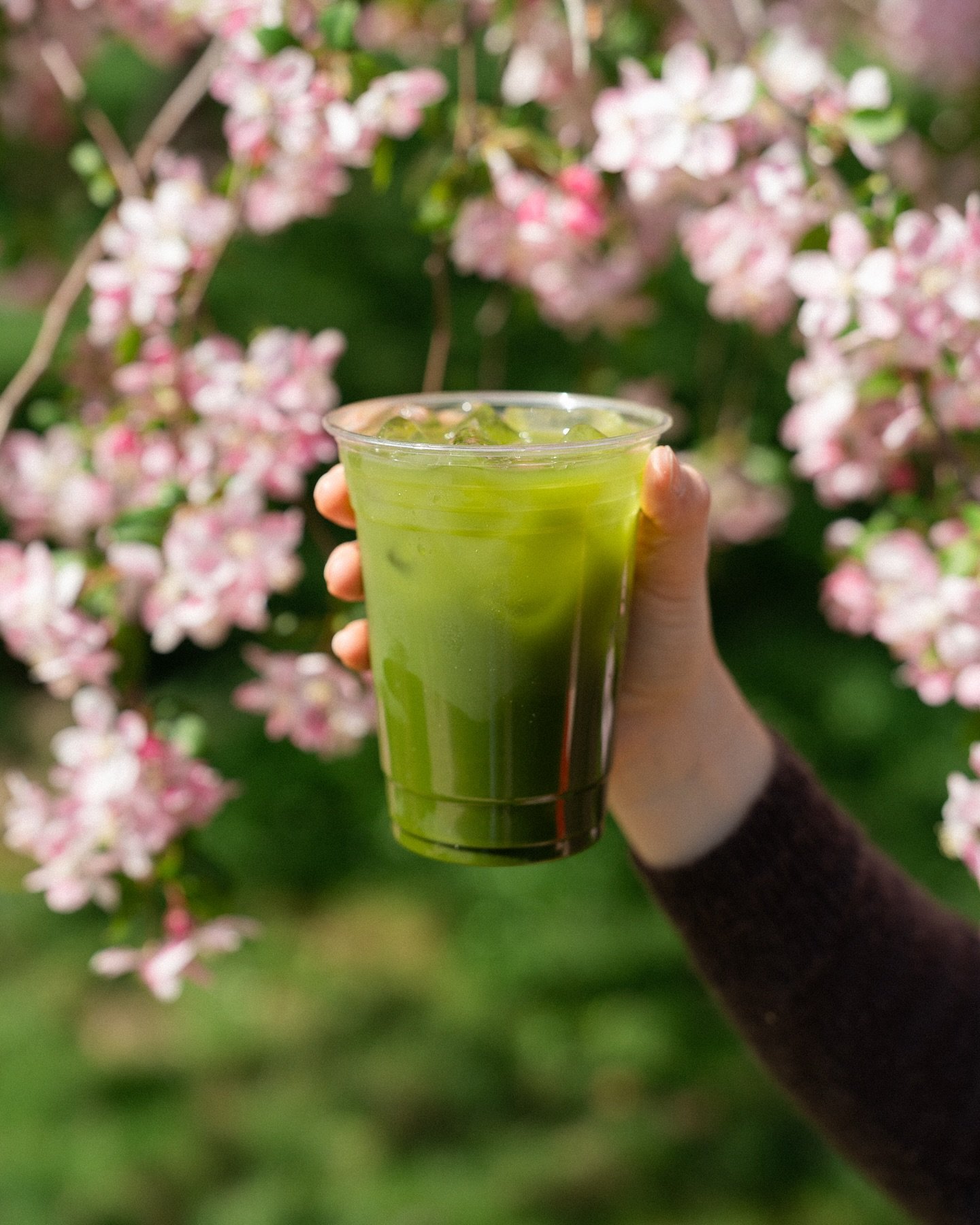 We don&rsquo;t need to say anything about how hot it is this week&hellip; beat the heat with a nice cold bev 🌞 

Lime in the Coconut will be your best friend with @nekohama matcha, coconut water, lime juice, and ice 🍋&zwj;🟩🥥