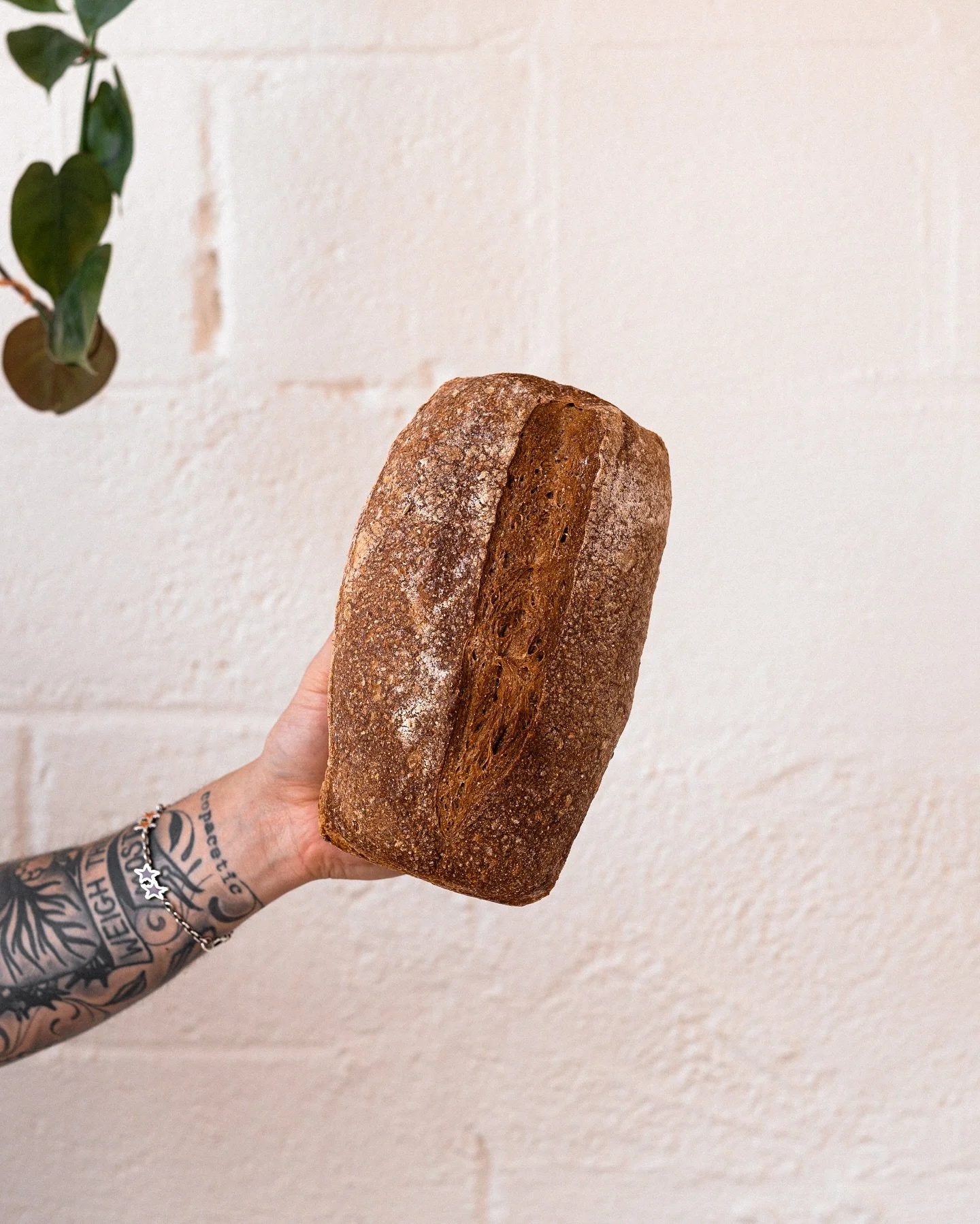Who is this you ask? Why it&rsquo;s our Caraway Rye Sandwich loaf!

this rye is light on the caraway to let the grassy notes of rye shine through &mdash; the tighter crumb is perfect for those messy toasted Rueben or hot pastrami sandwiches 🥪 

So w