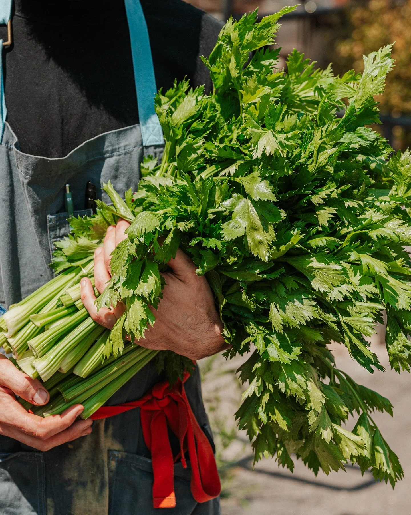 We&rsquo;re holding onto every last bit of our late summer&rsquo;s harvest 💛 

When you stop by for a meal with us, we&rsquo;re proud to say that we&rsquo;ve sourced as many ingredients as close to home as possible&hellip; so let&rsquo;s meet our fa