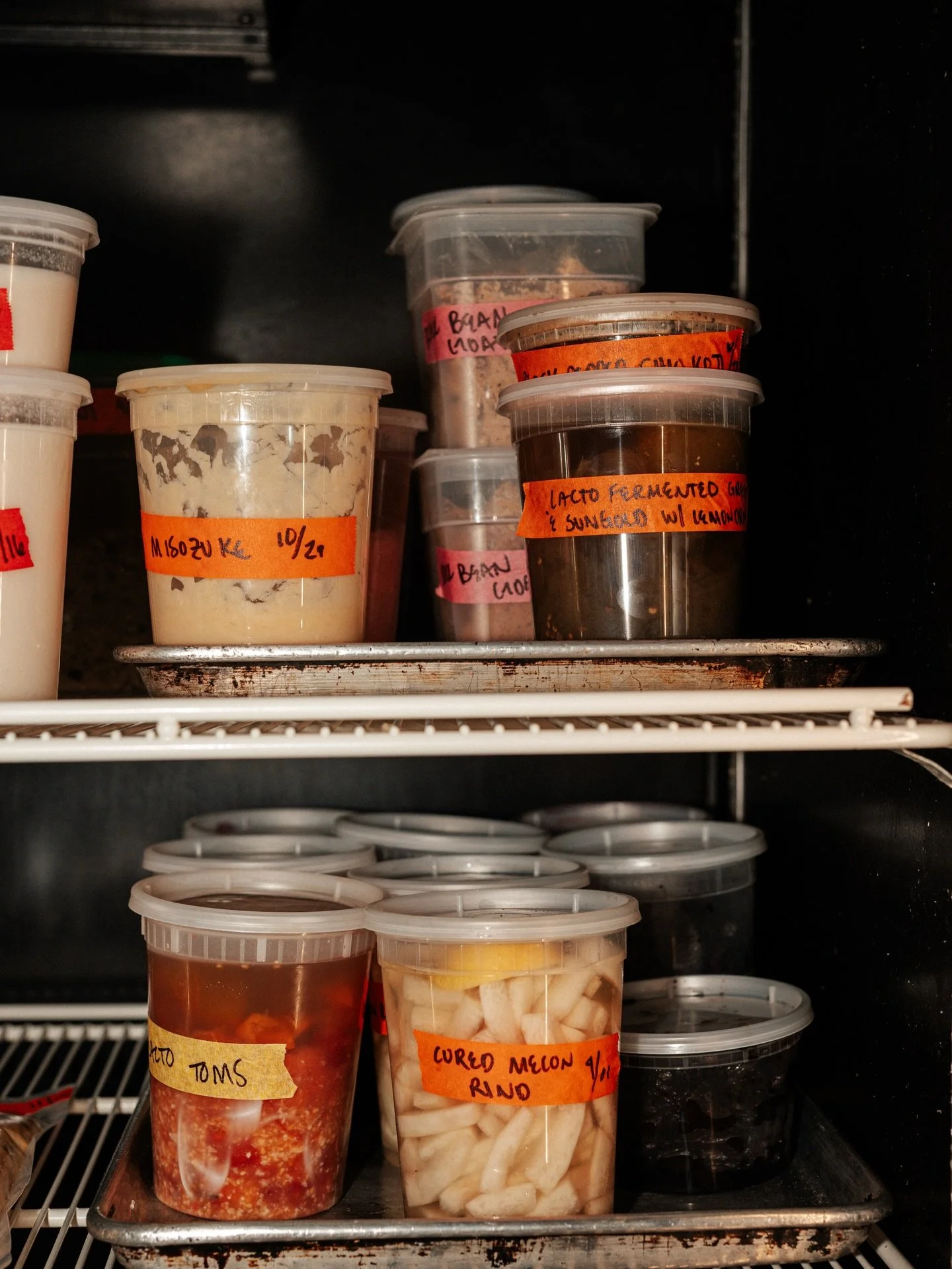 Meanwhile in the koji room&hellip; what you don&rsquo;t see is our chefs madly at work experimenting and koji-ifying &mdash; this has unlocked a whole new way for us to really make the most of our local harvests, by curing, koji-ing, and preserving

