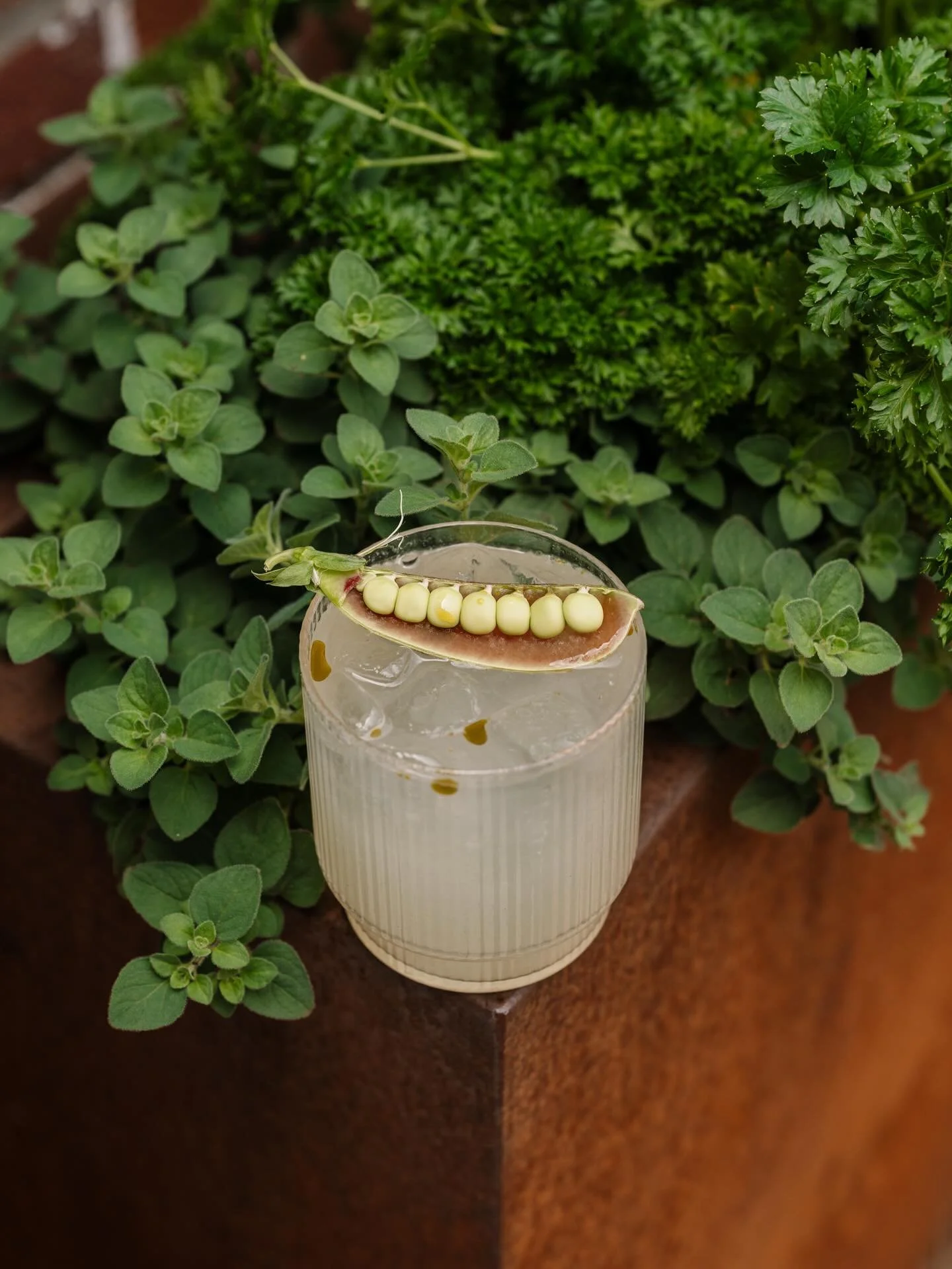 a sixty degree saturday has us feeling nostalgic for last summer 🫶⭐️ those warmer days will be here before you know it ;)

we can't wait to cook up somethin' good for you in the warmer months! we're just as ready as you are for some sunny outdoor fo