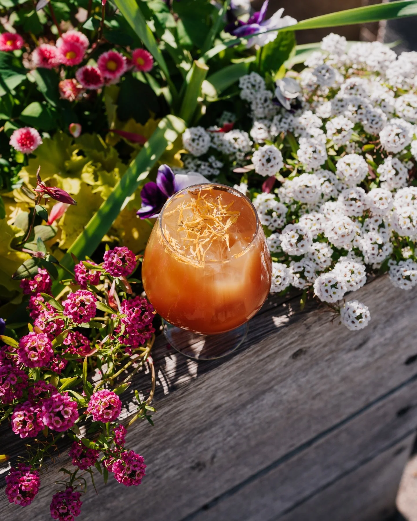 some things need no explanation 🪻🌼

but just in case you're looking for some: yaupon iced tea ⭐️ an indigenous tea with rotating fruit infusions 

if you can't handle the rainy weekend, just think about everything that'll be blooming after it's ove