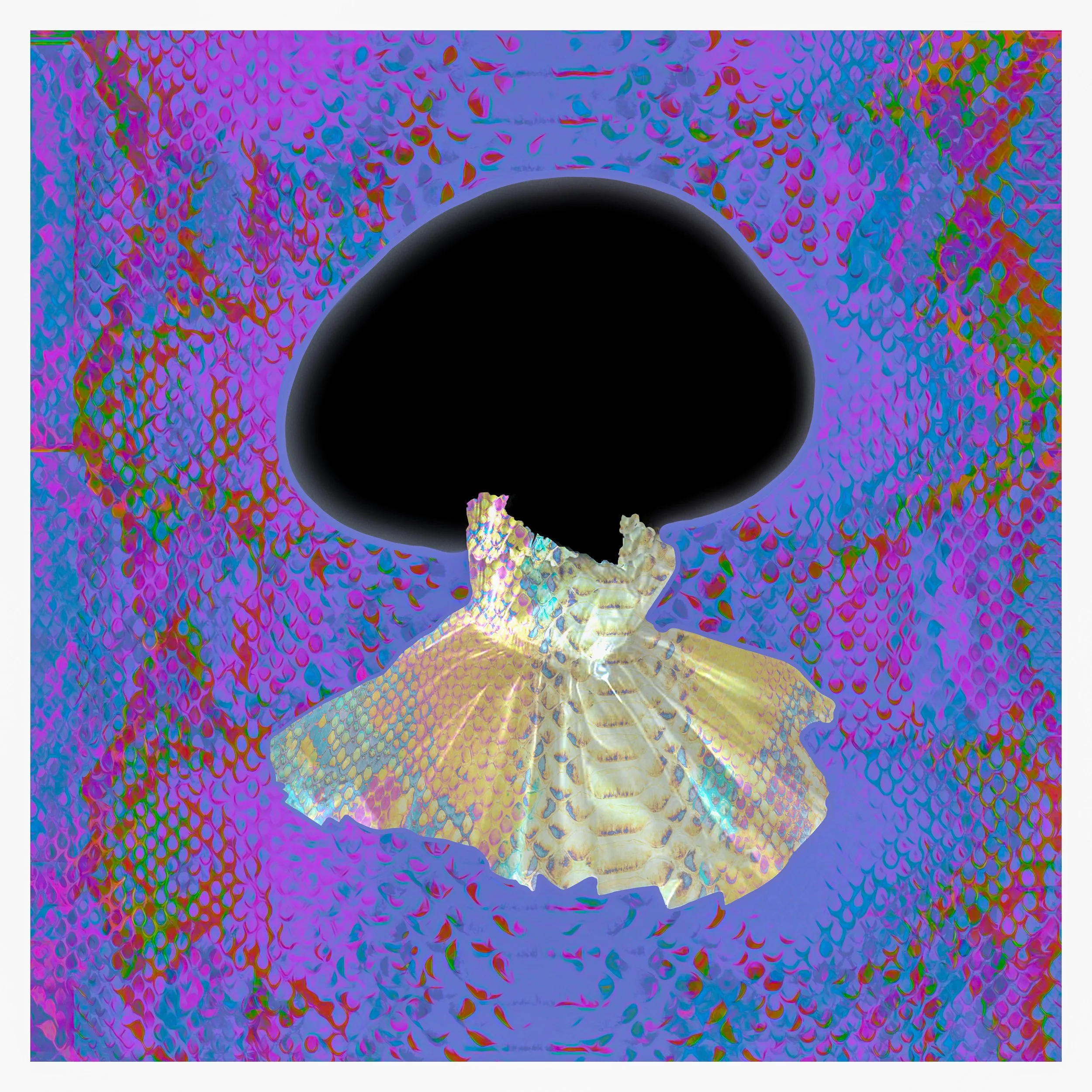 Fancy Mushroom Square with Border LRA .jpg