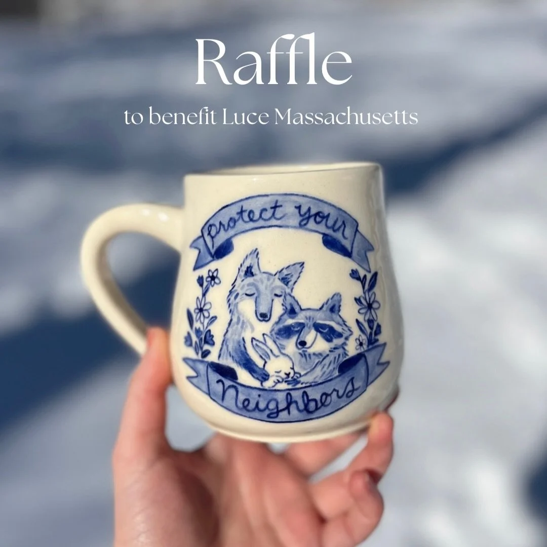 Raffle closed!
RAFFLE to benefit our immigrant neighbors here in Mass! To enter, Venmo $5 to Ariel_Sampou with the caption &ldquo;Fuck Ice&rdquo; (I heard that using the word &ldquo;raffle&rdquo; in the caption can flag my Venmo account oops) There i