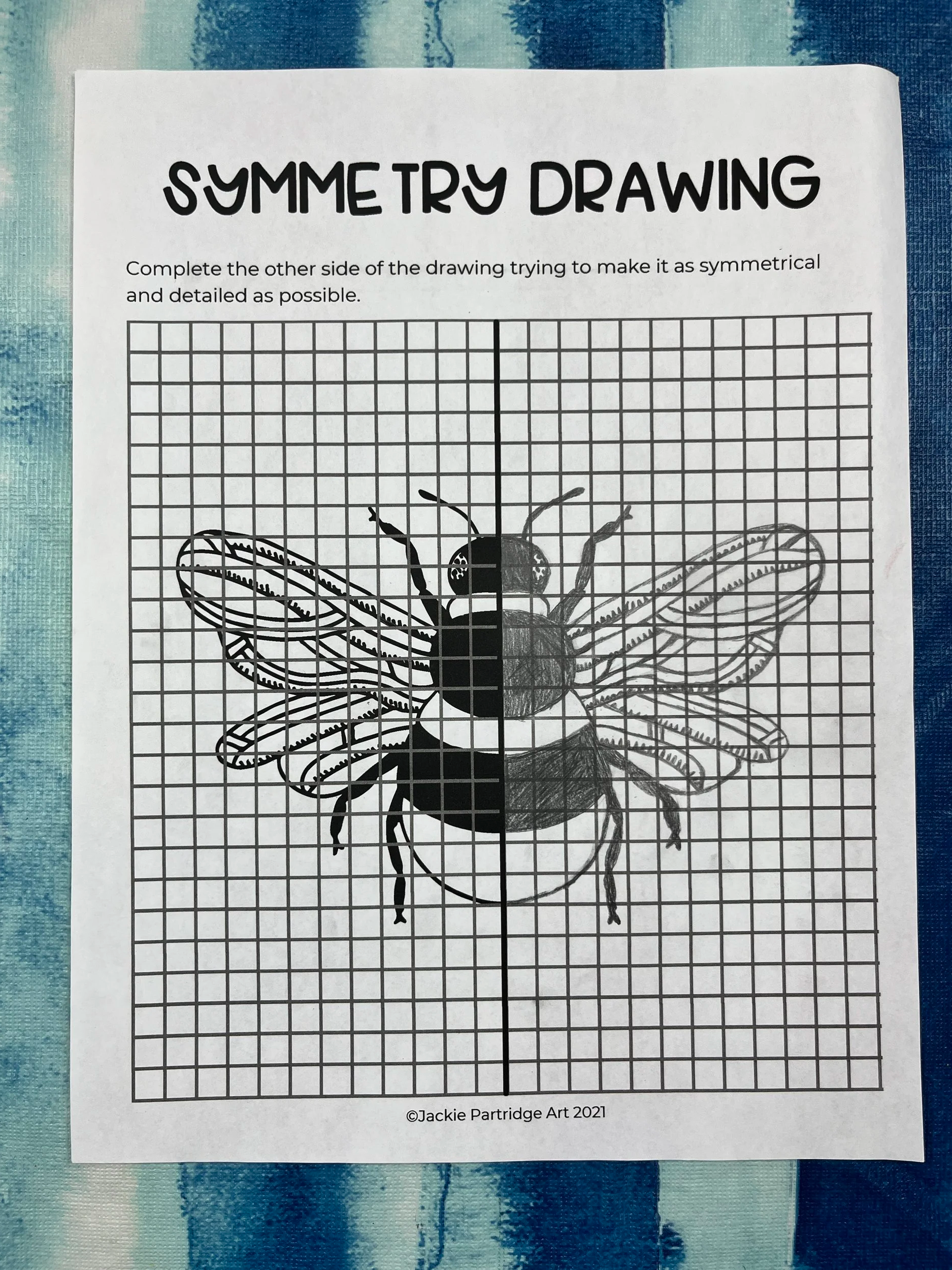 spring simple drawing of bumble bee symmetry page