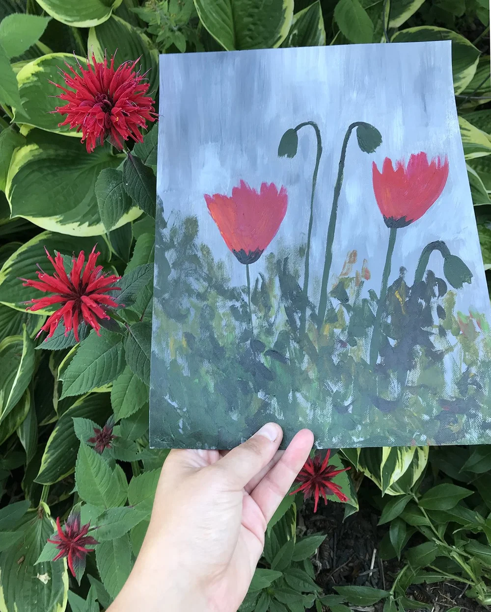Poppy Art for Students — Jackie Partridge Art