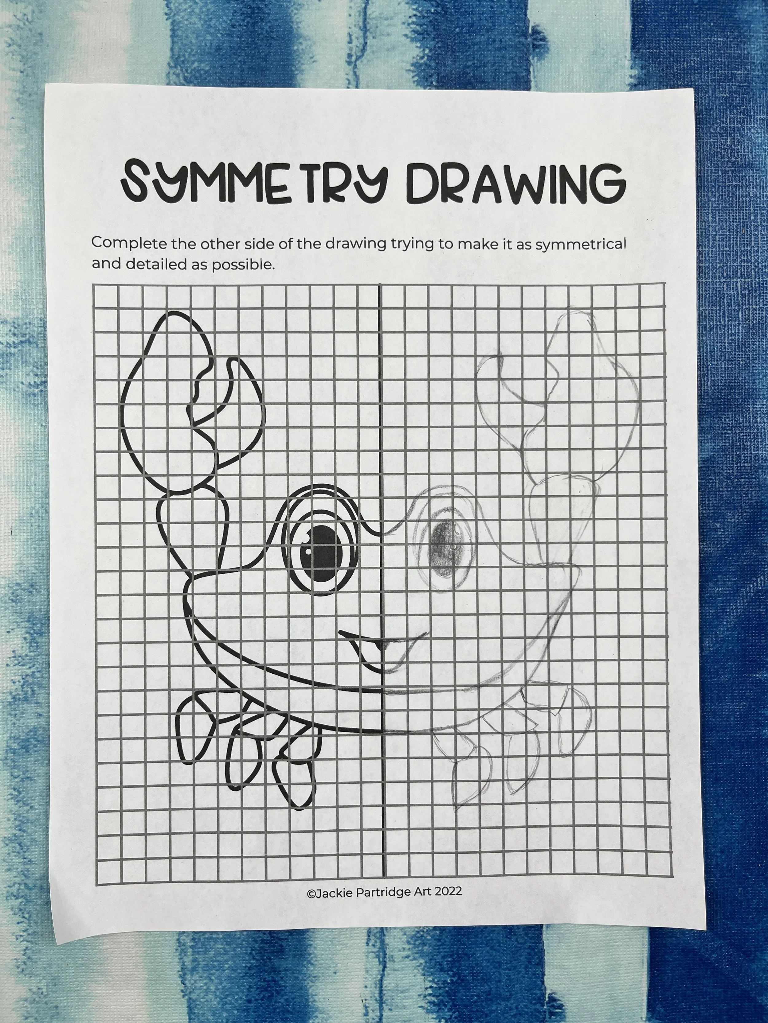 Animal Symmetry Art Worksheets 