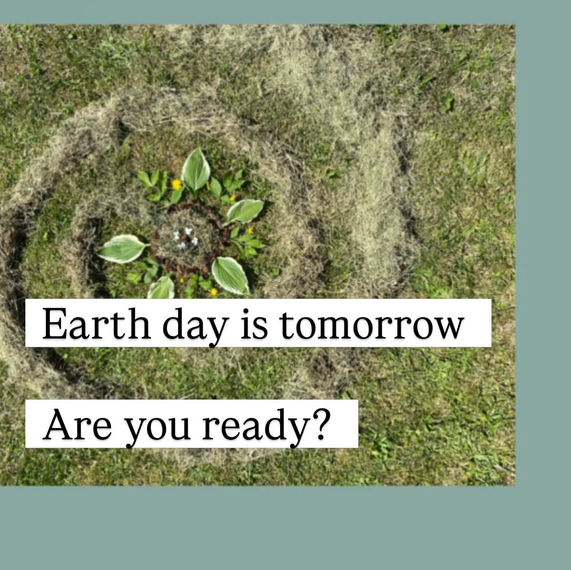 Ideas here⬇️🐞🐝

Comment BUGS for my free insect symmetry drawing for kids in grades 3 to 7.

Pick up garbage around your neighbourhood or a schoolyard.

Plant a garden even if it&rsquo;s just a small pot of cherry tomatoes or some kind of plant. It