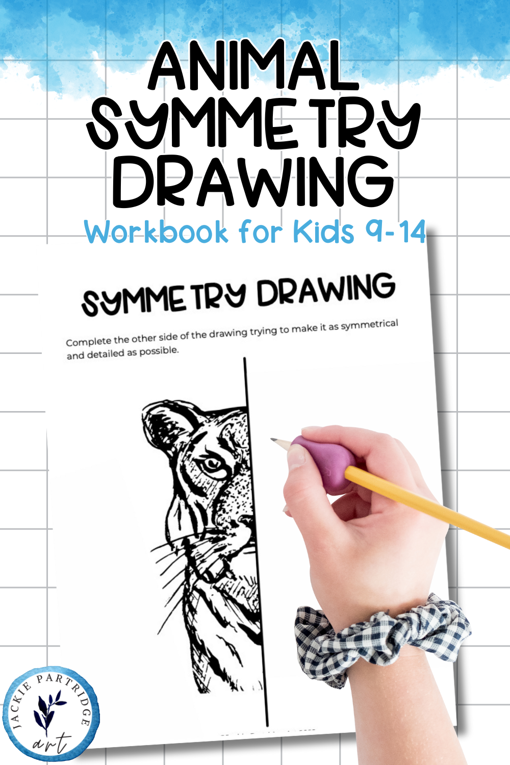 animal symmetry drawing book