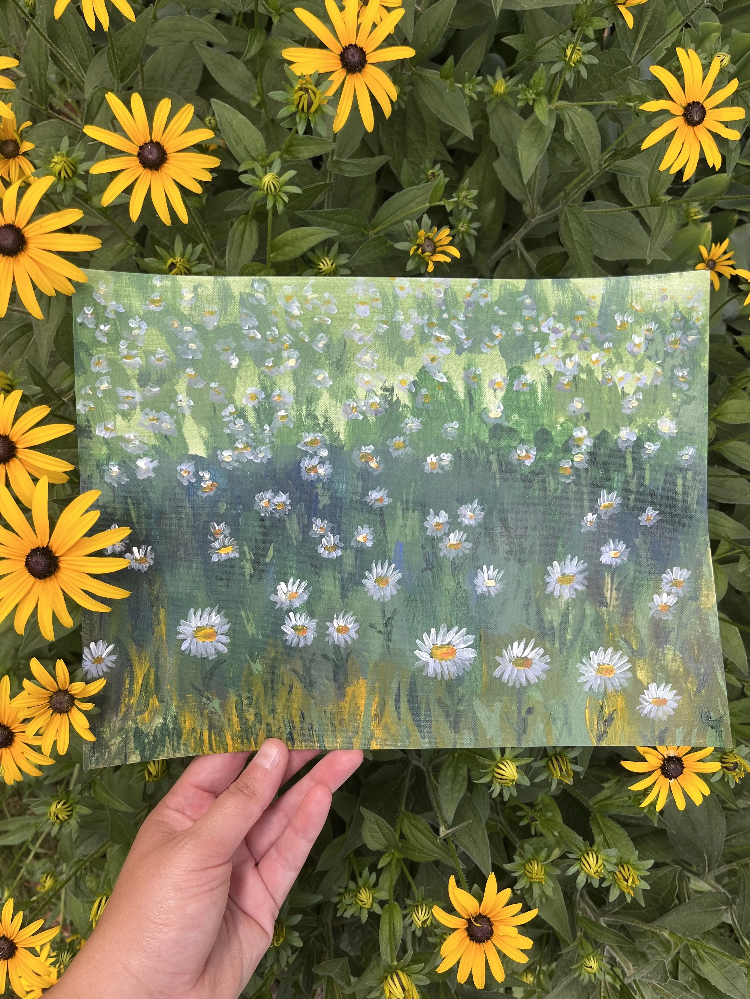 How to Paint Daisies&nbsp;