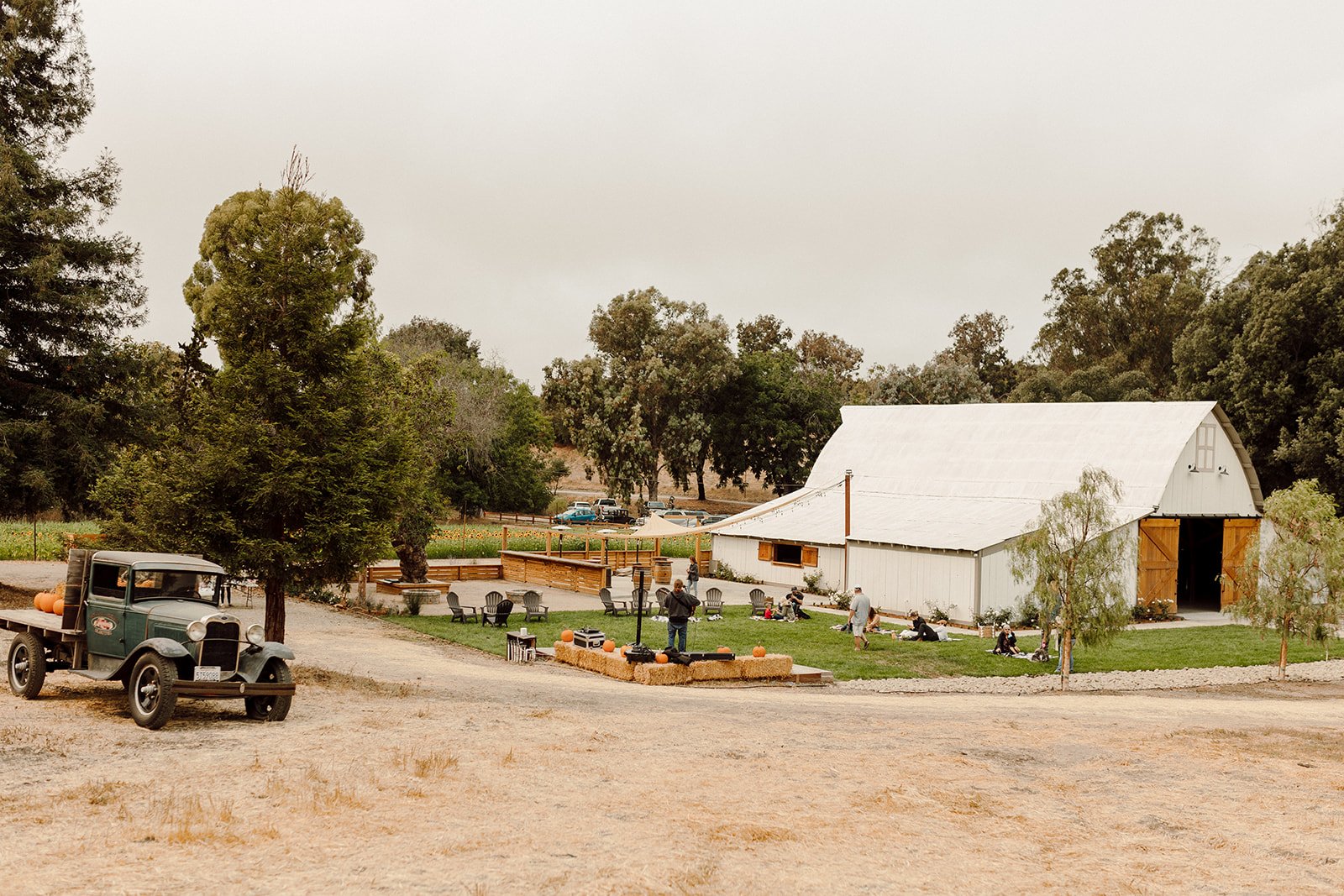 Gallery — Tar Creek Ranch