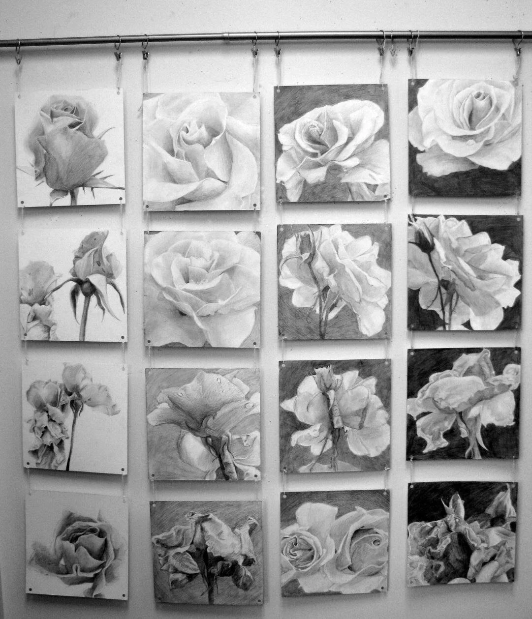 24_Hours_of_Roses.jpg