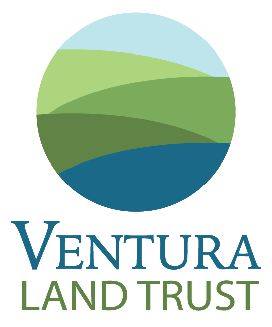 VLT_Logo-vert.png