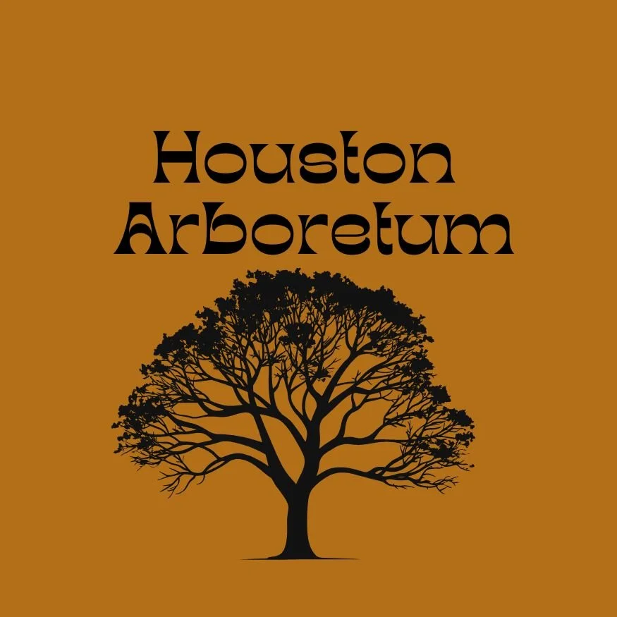 Houston Arboretum