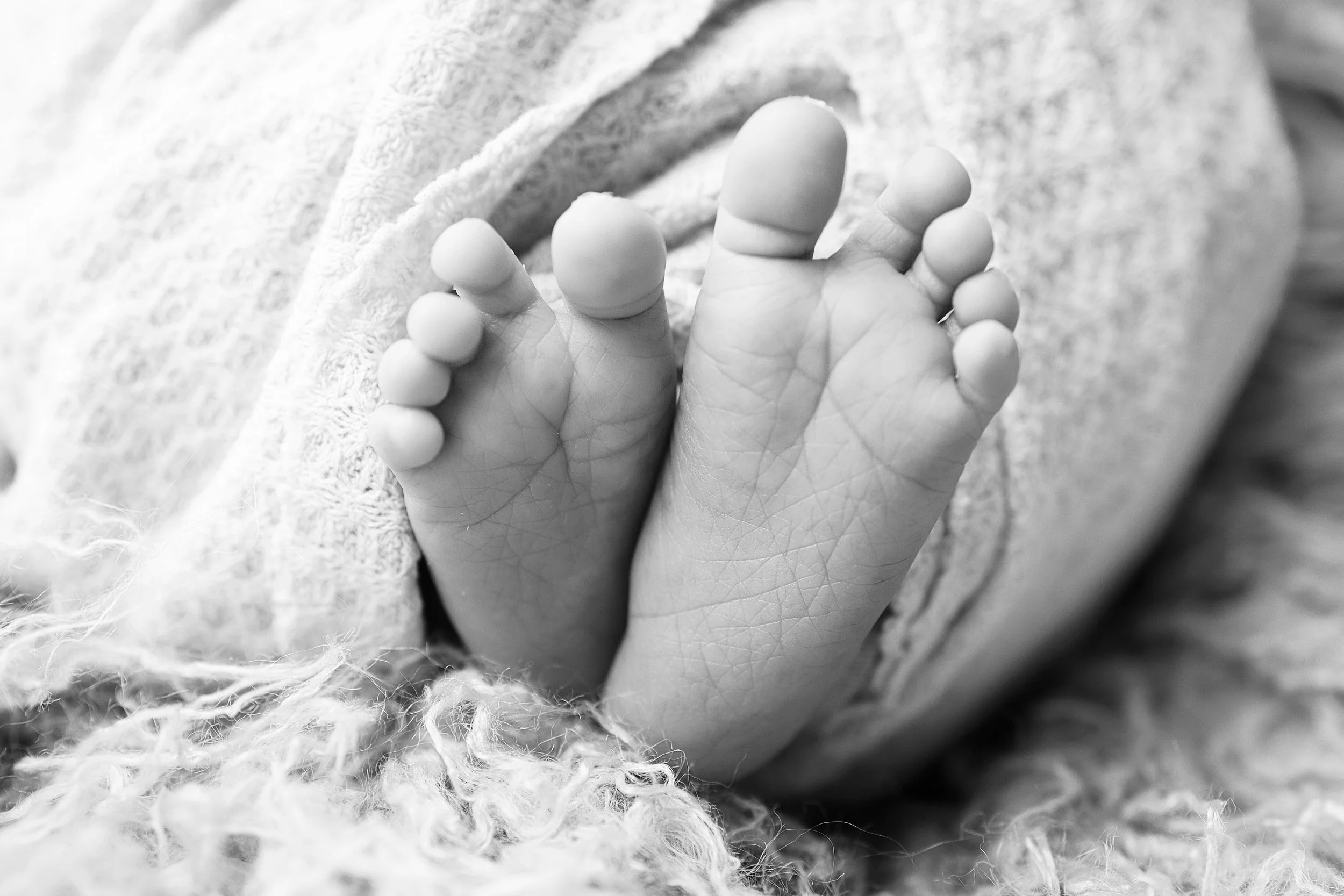 4B3A0016_(2) copy.jpg