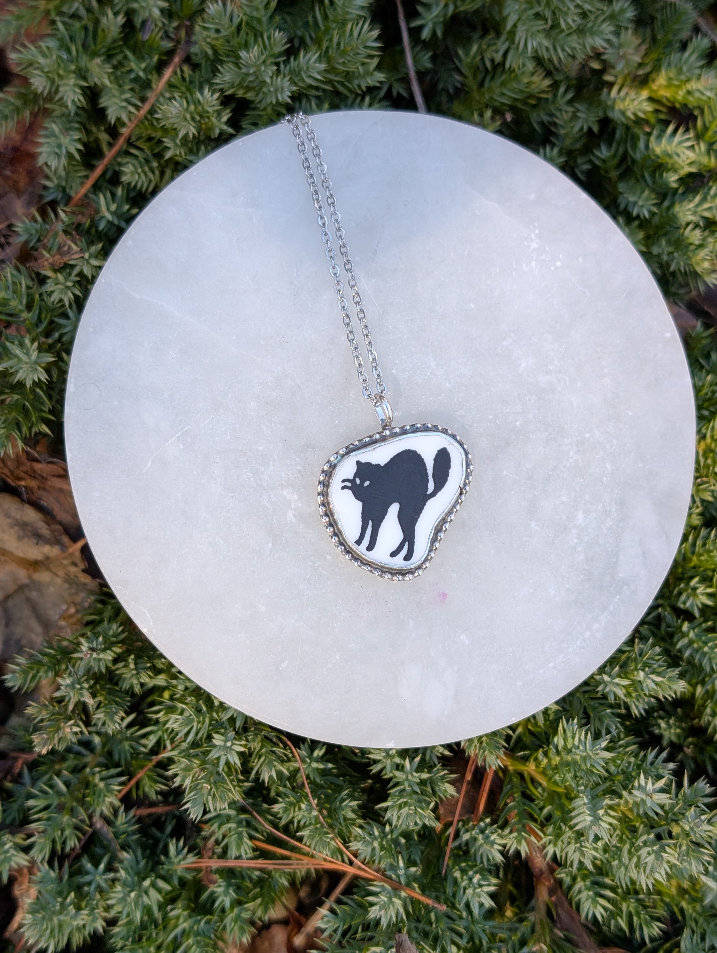 PXL_20260220_181040801.jpg (Copy)