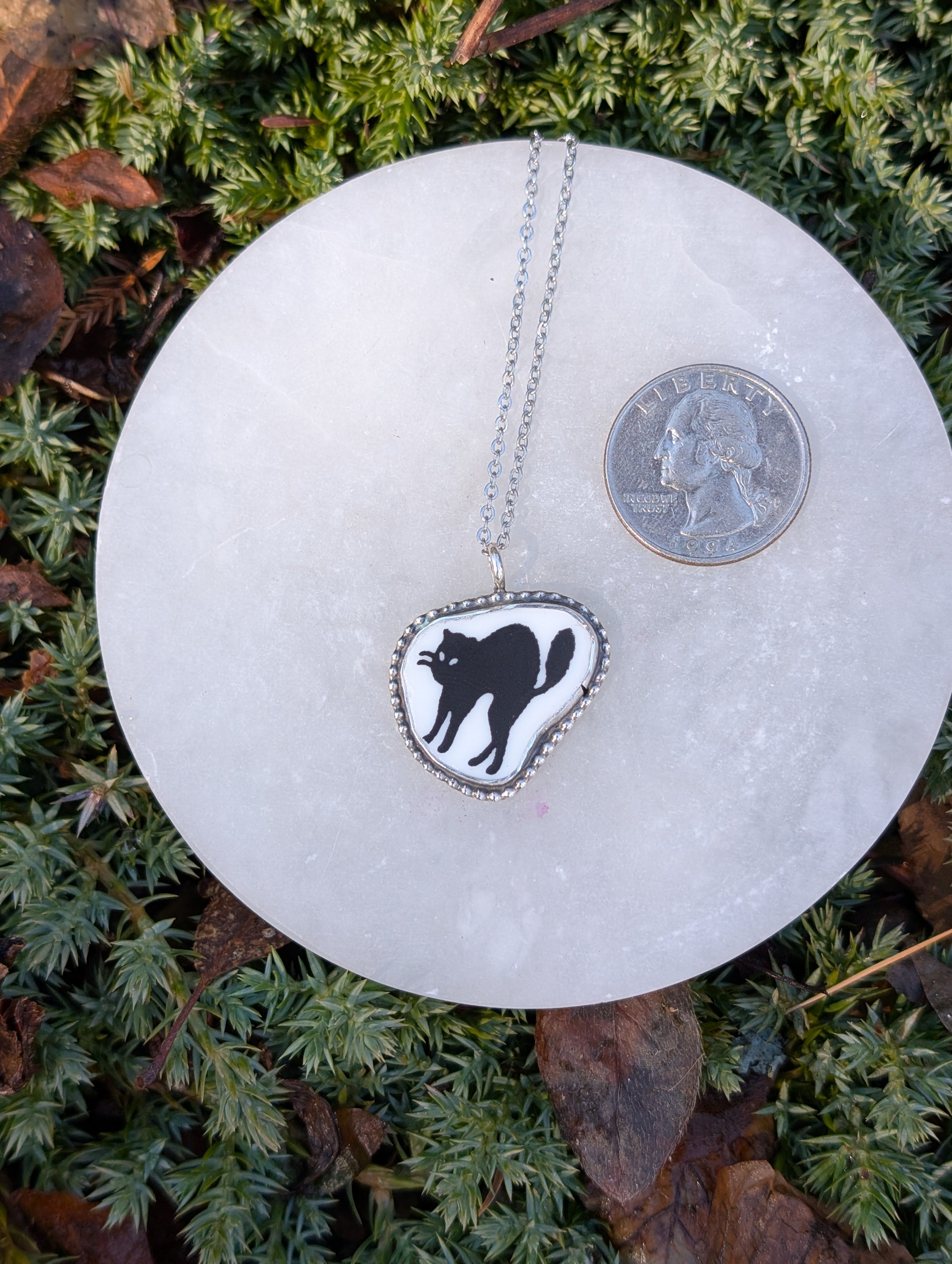 PXL_20260220_181016903.jpg (Copy)