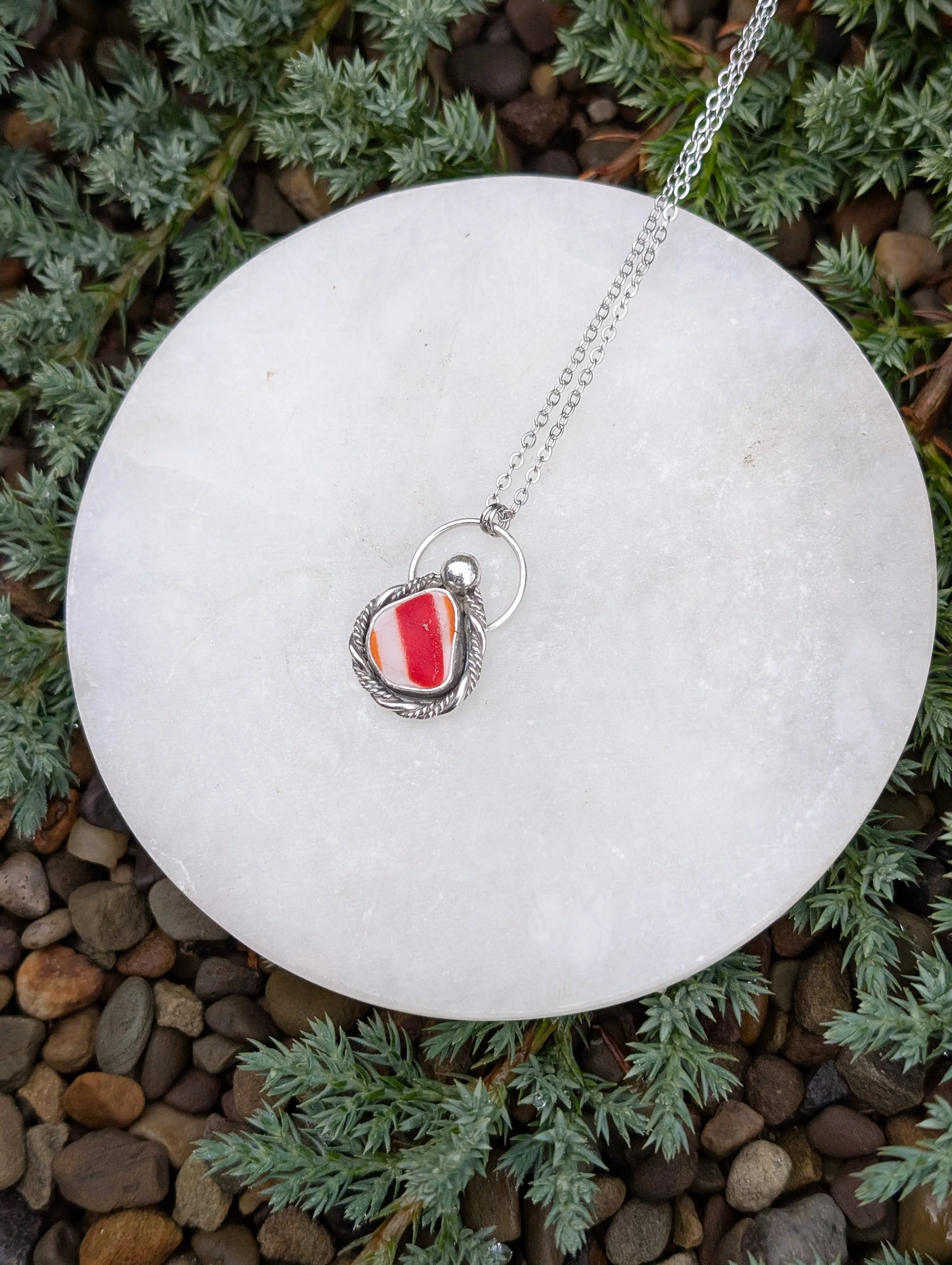 PXL_20251123_134132364 - Copy.jpg