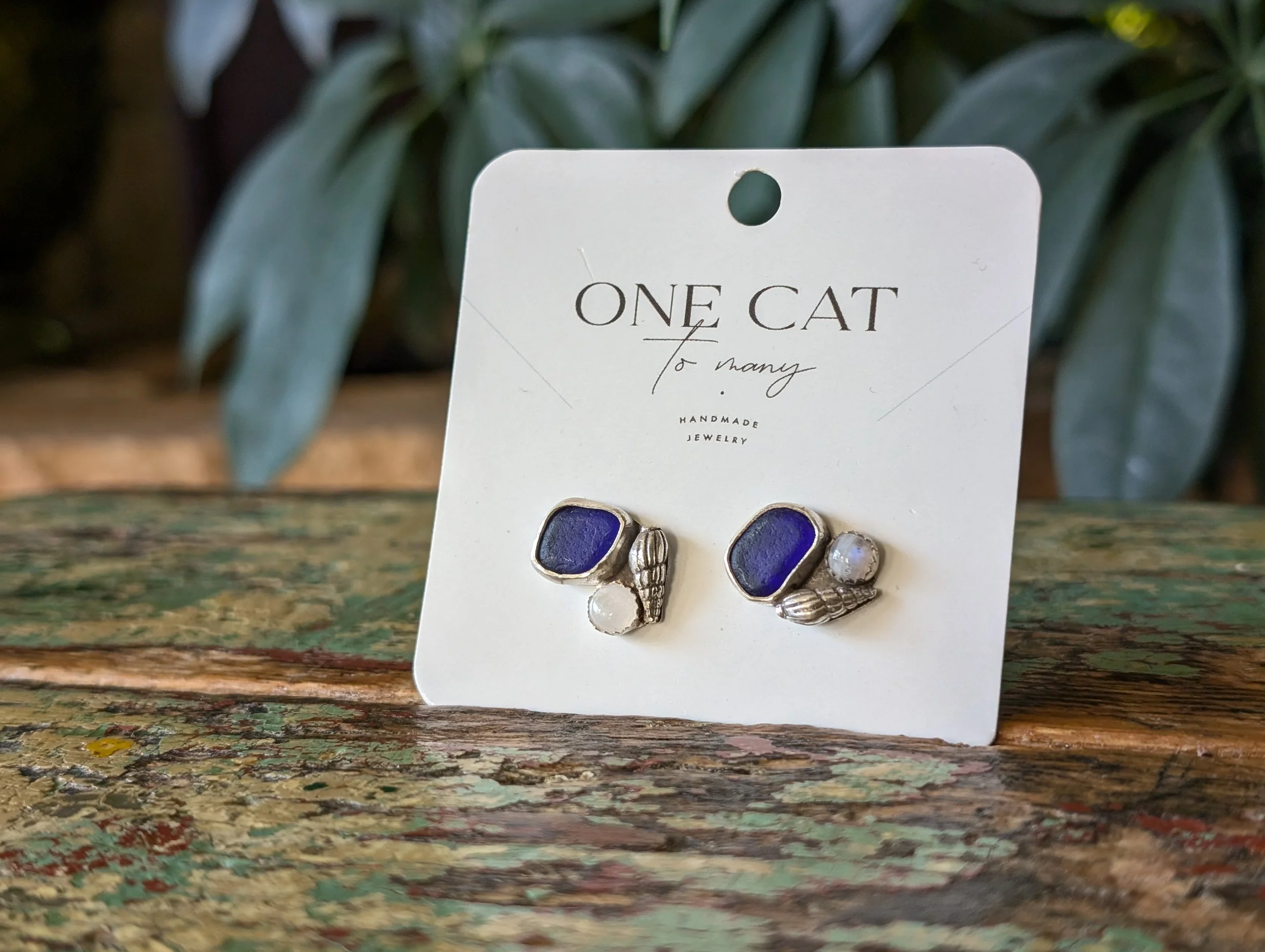 PXL_20251123_145231556.jpg