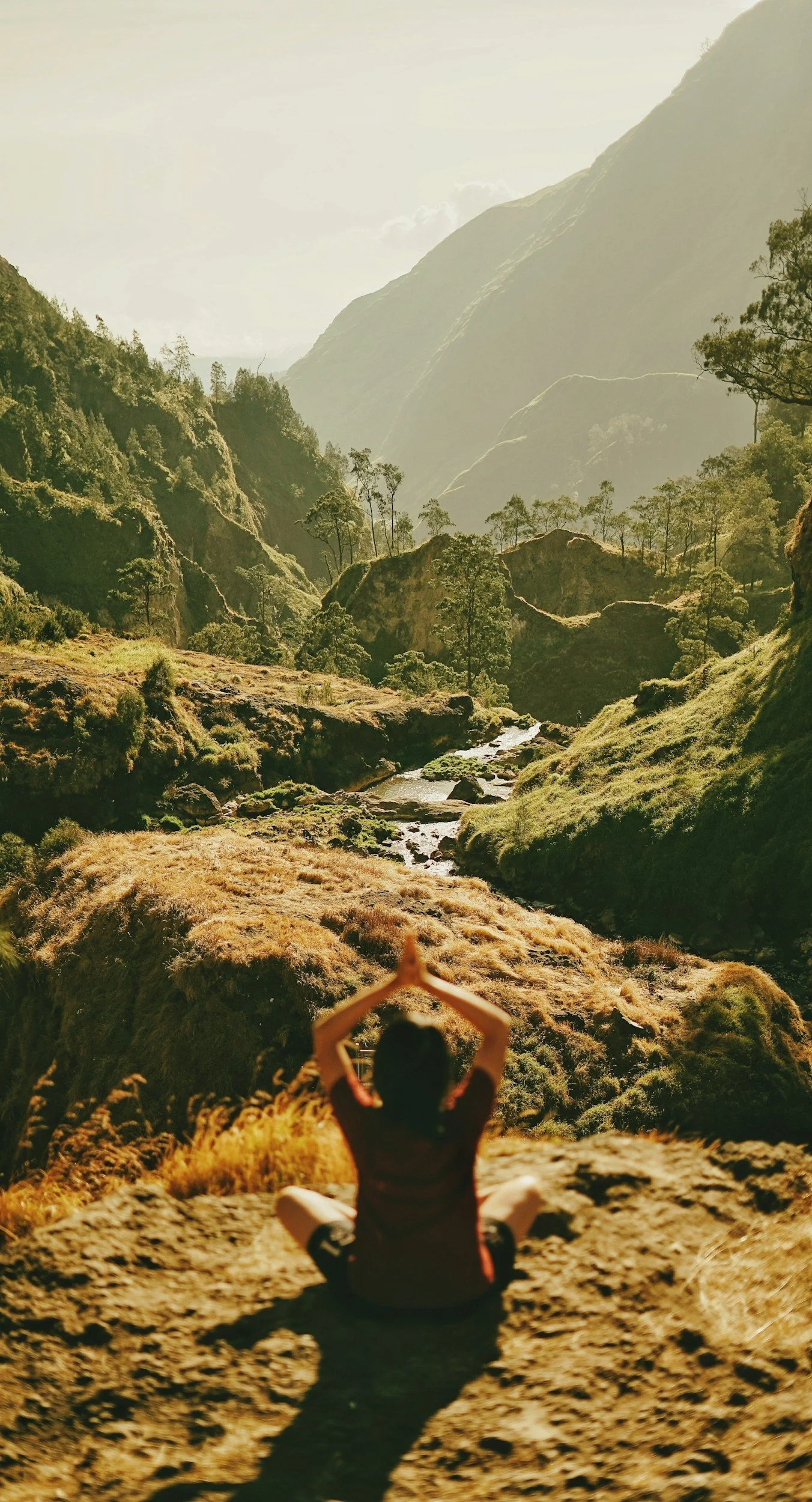 Person sitting cross-legged on a rocky ledge overlooking a lush green valley with mountains, trees, and a stream, during daylight.