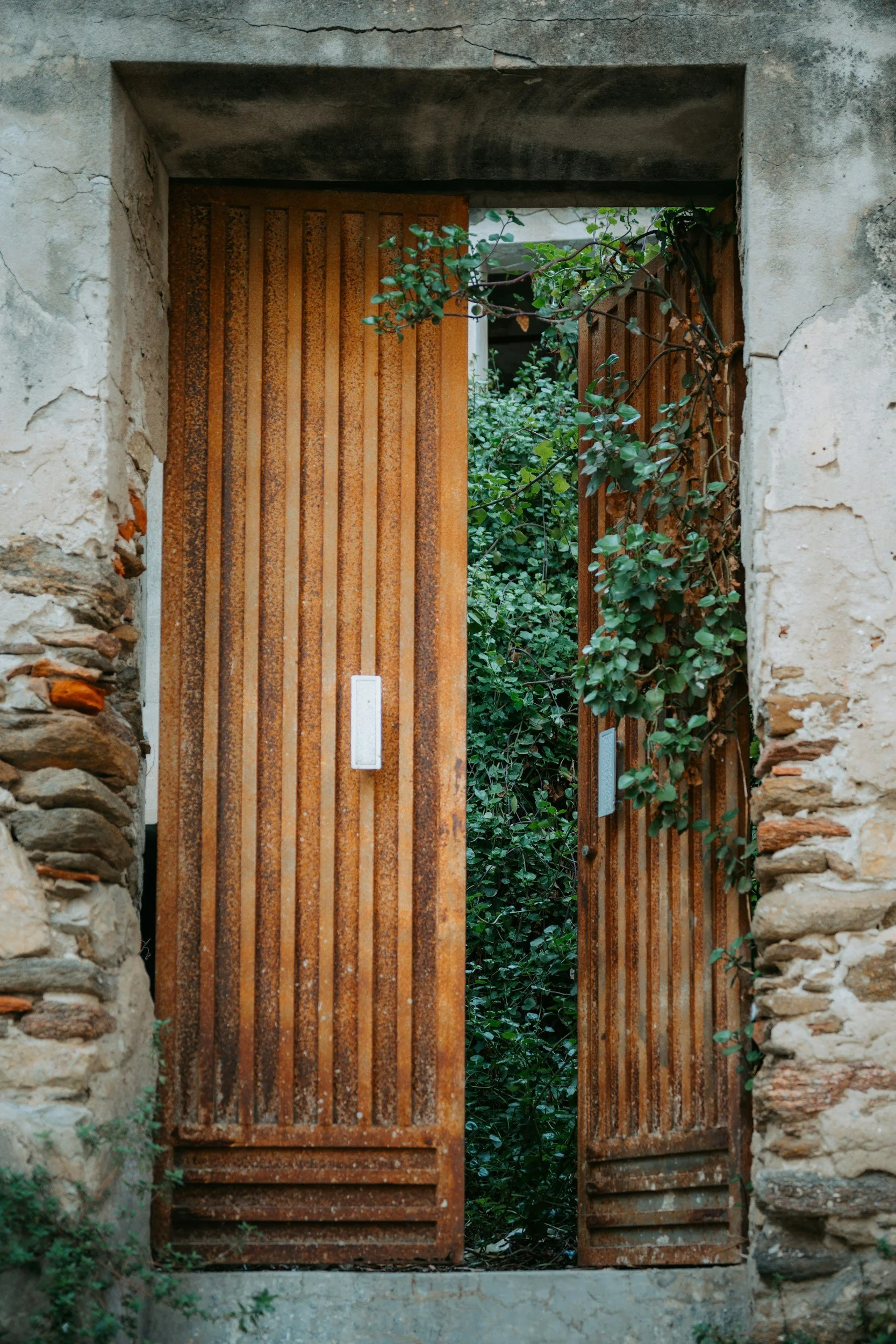 Rusty metal gate open to a lush green garden, surrounded by aged stone and concrete walls with plants growing around.