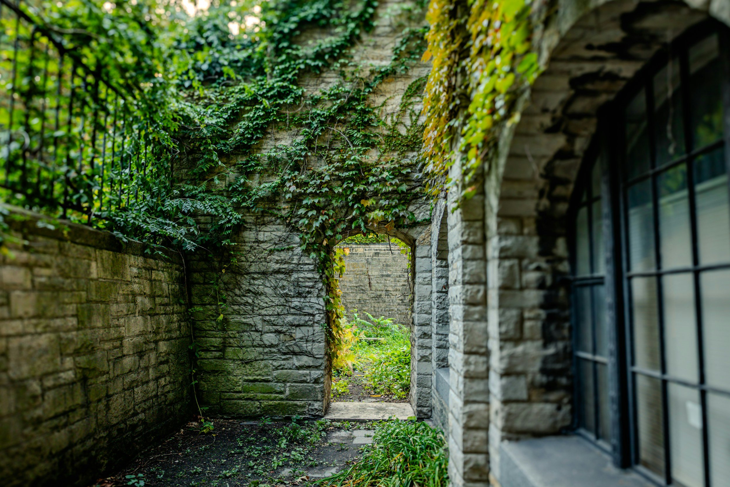 Stone archway and brick wall with ivy and greenery.