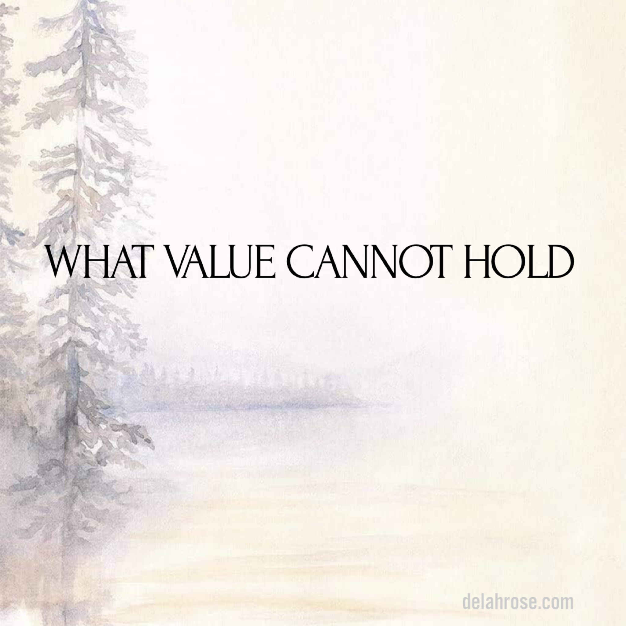 What Value Cannot Hold ?