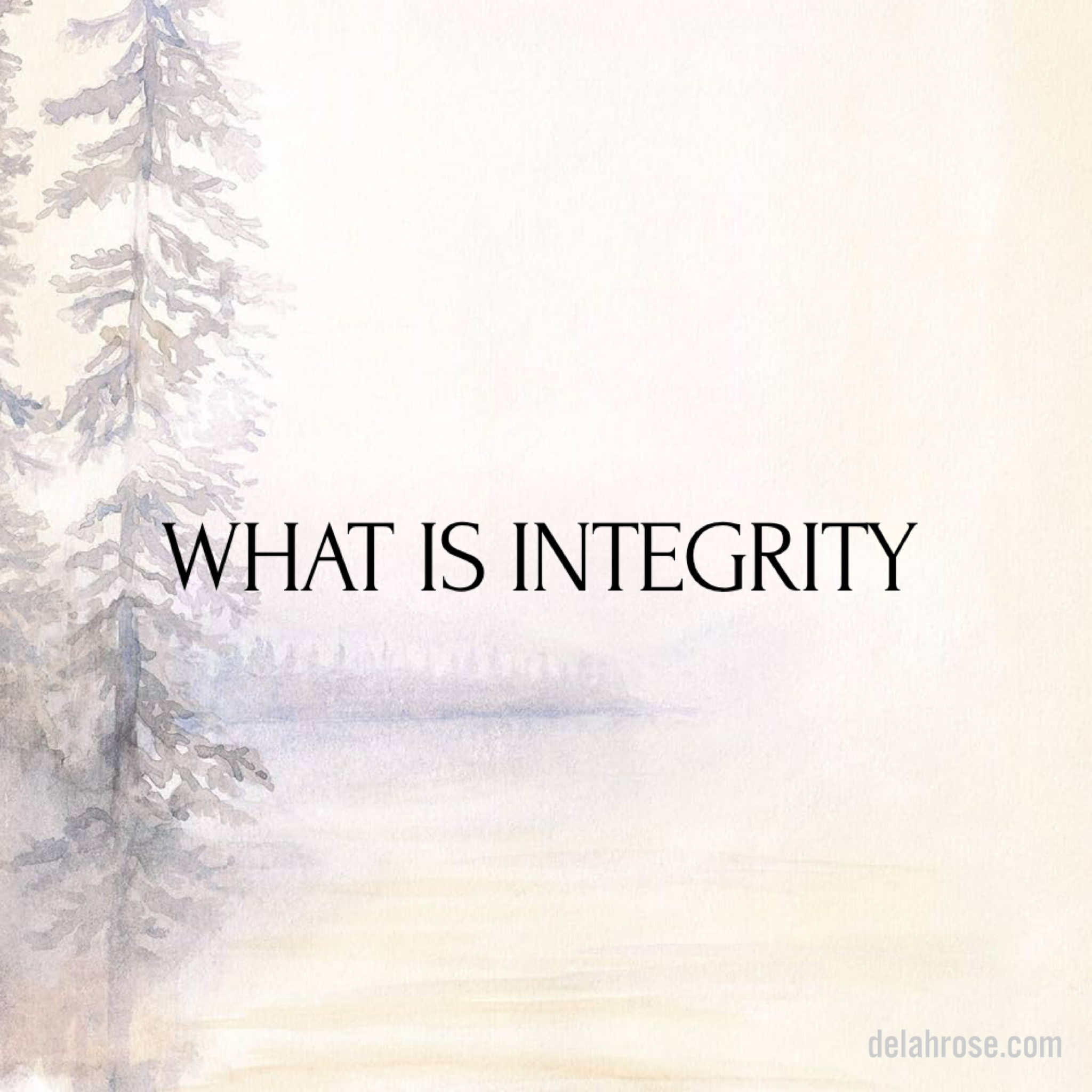 What Is Integrity?