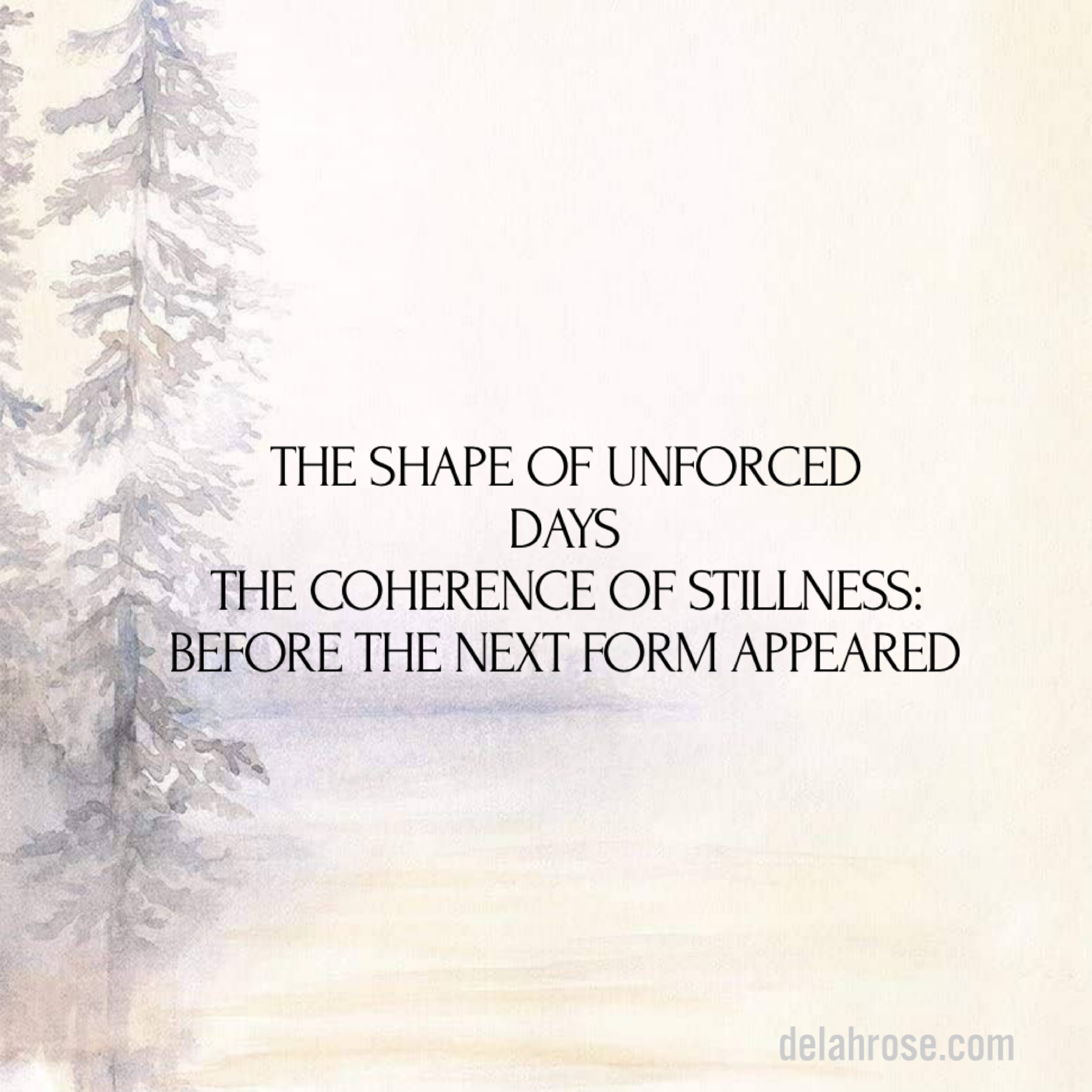 The Shape of Unforced Days &nbsp;