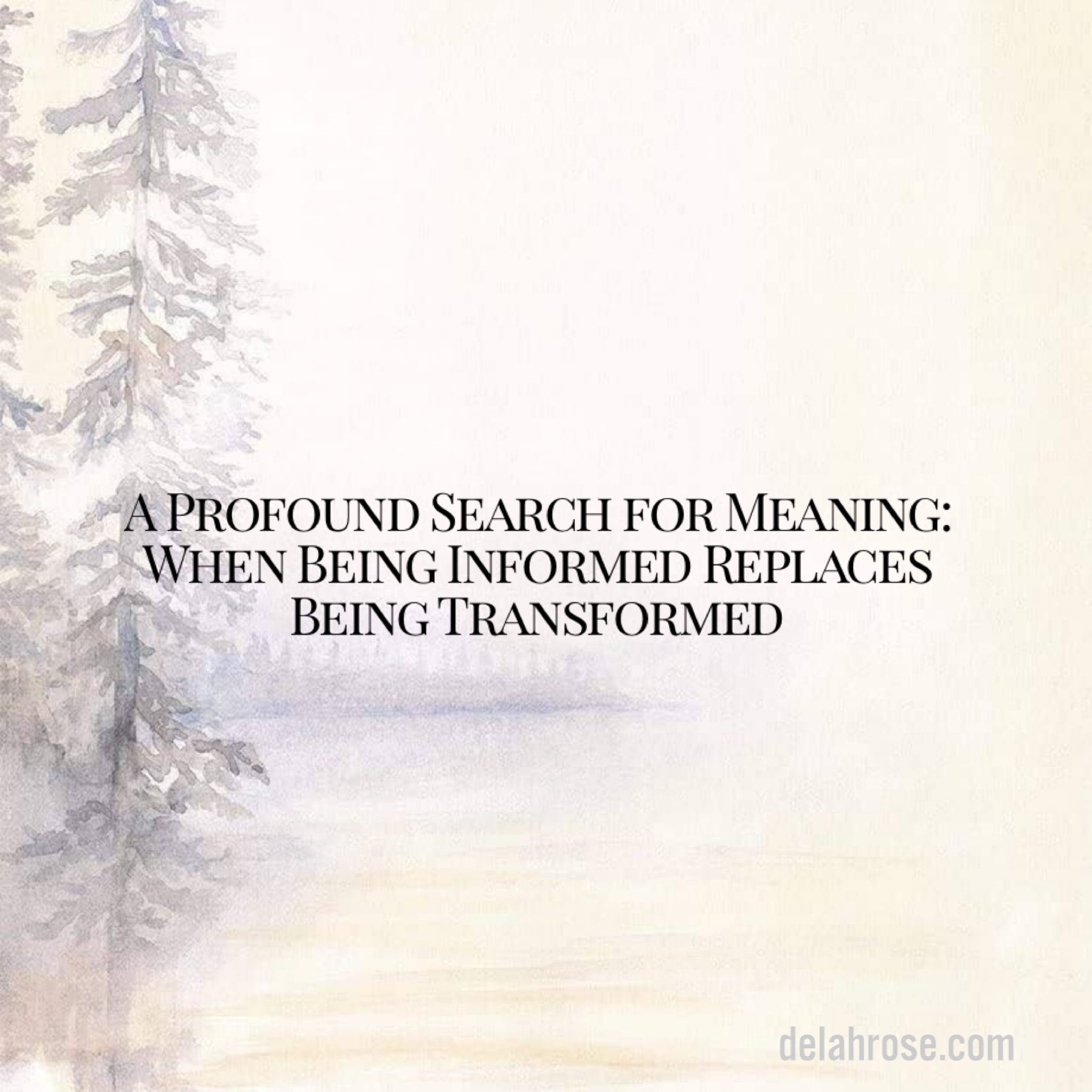 A Profound Search for Meaning: When Being Informed Replaces Being Transformed