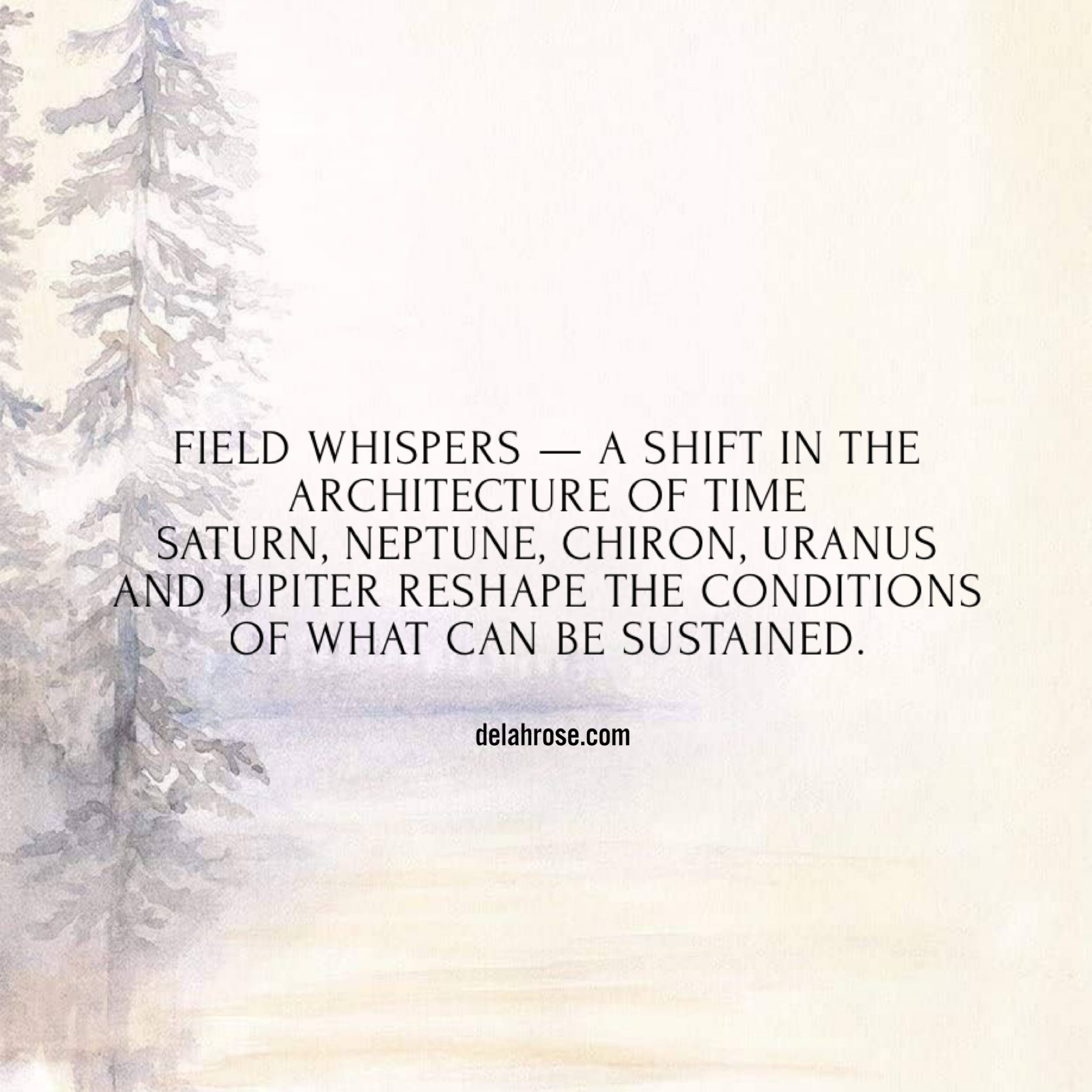Field Whispers — A Shift in the Architecture of Time.