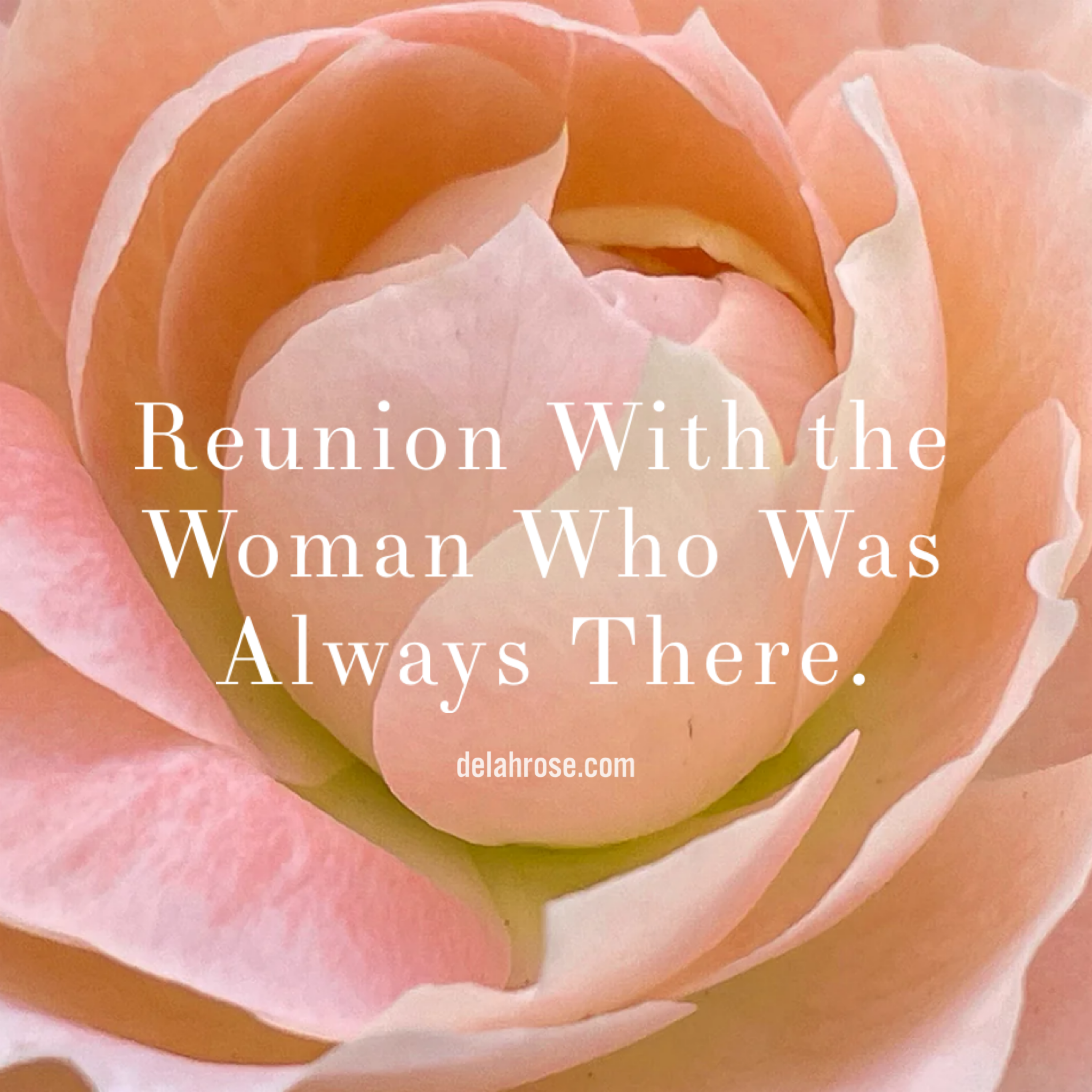 Reunion With the Woman Who Was Always There.