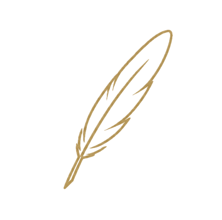 Golden outline of a feather with detailed barbs and shaft on a transparent background.