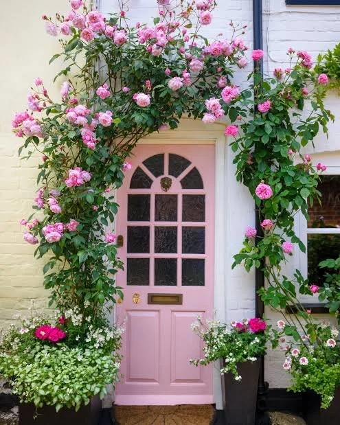 A pink front door with a decorative window, surrounded by vibrant pink roses and green foliage in black planters.