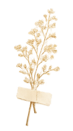 A beige dried fern leaf with a blank paper label attached to its stem.