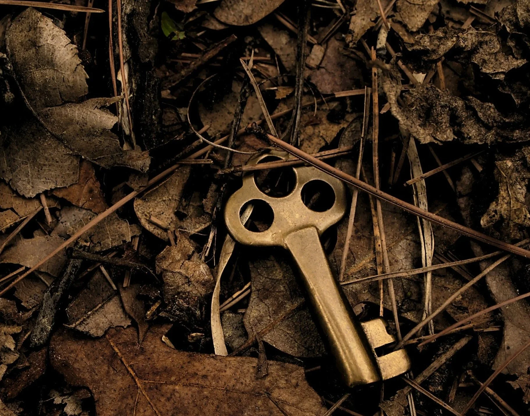 A brass key lying on forest floor covered with dried leaves, twigs, and small rocks.