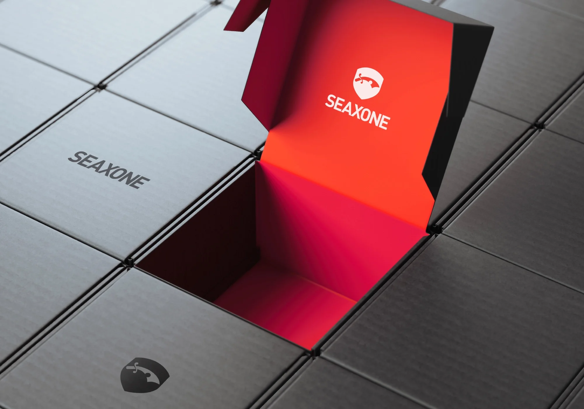 Seaxone packaging