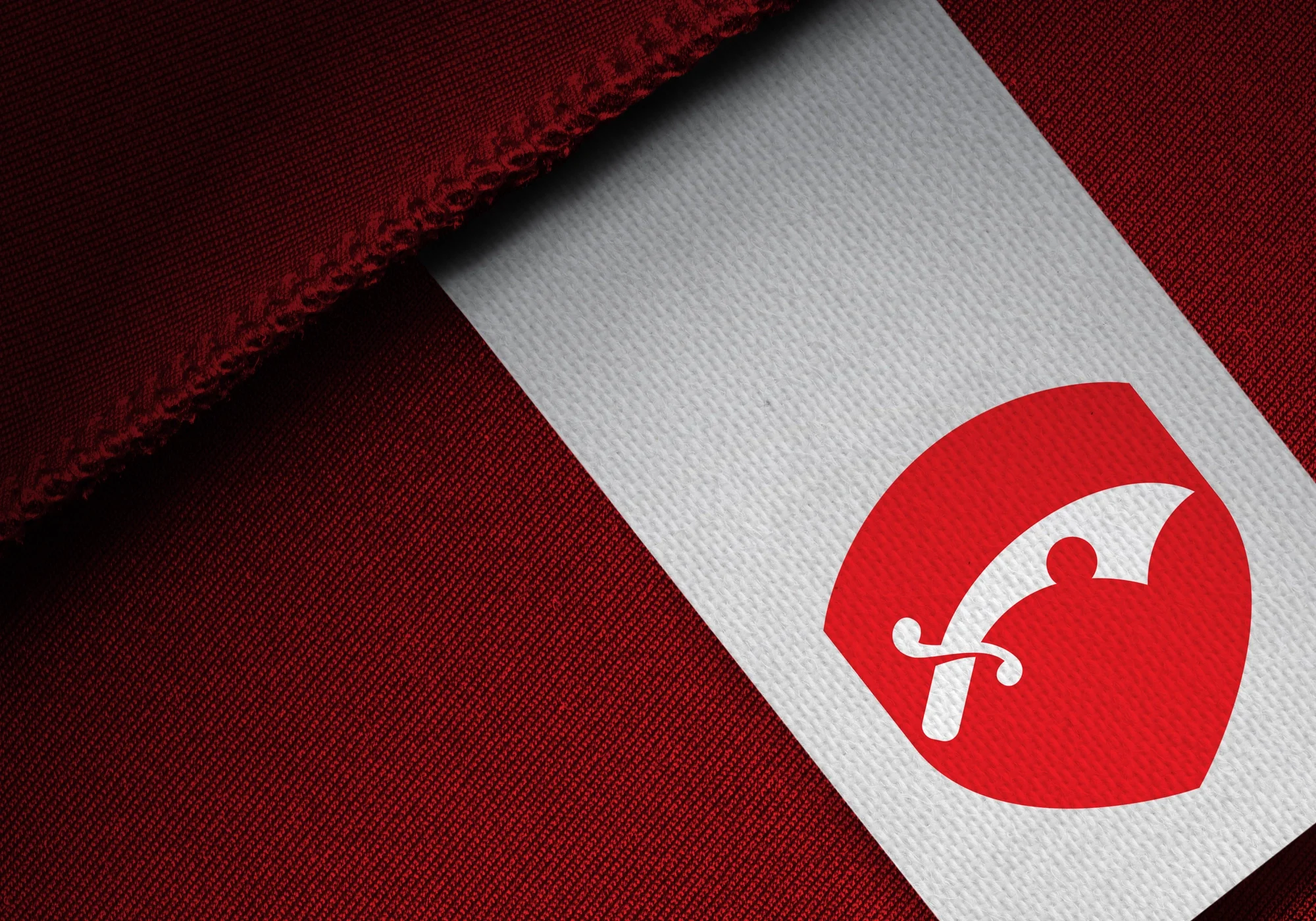 Seaxone branding