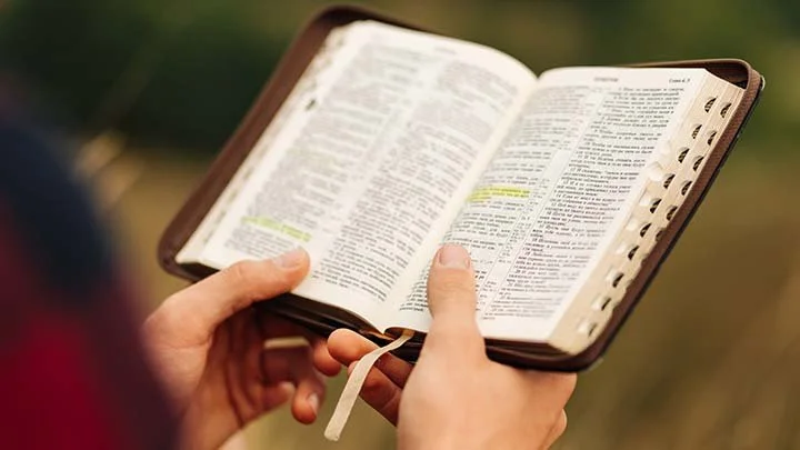 “Read the Bible!” - 15th Sunday OT (A) - 7.12.26
