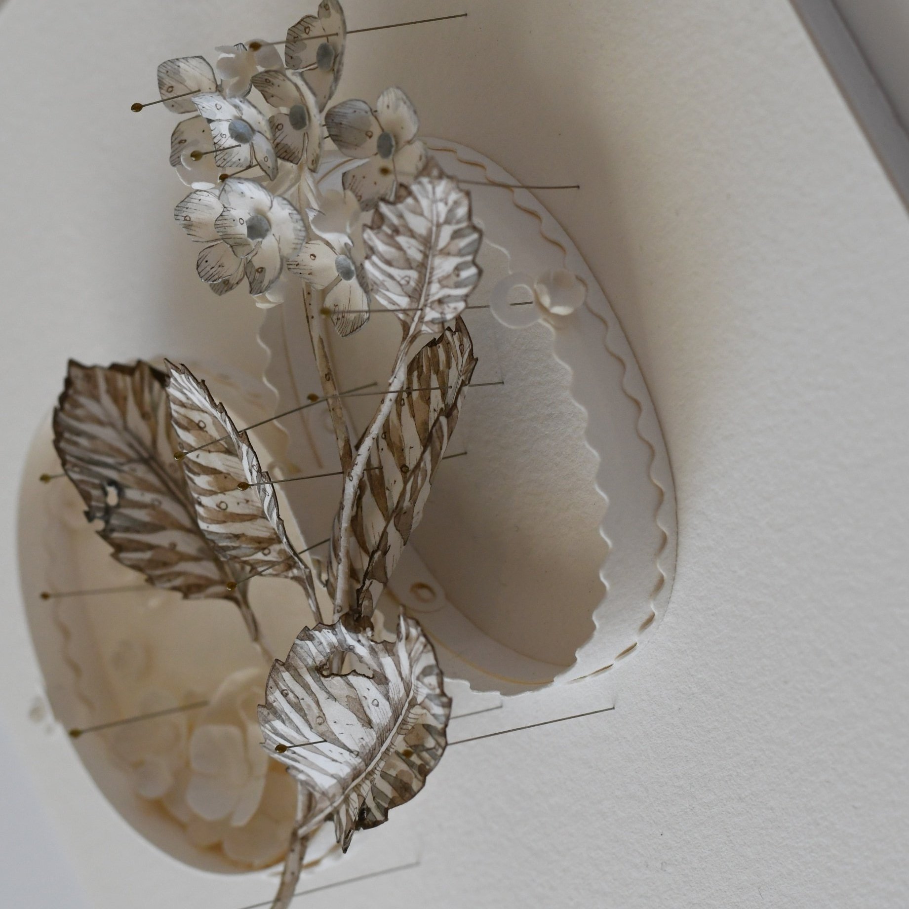 Colleen+Southwell+Jewel+Box+hydrangea+3.jpg