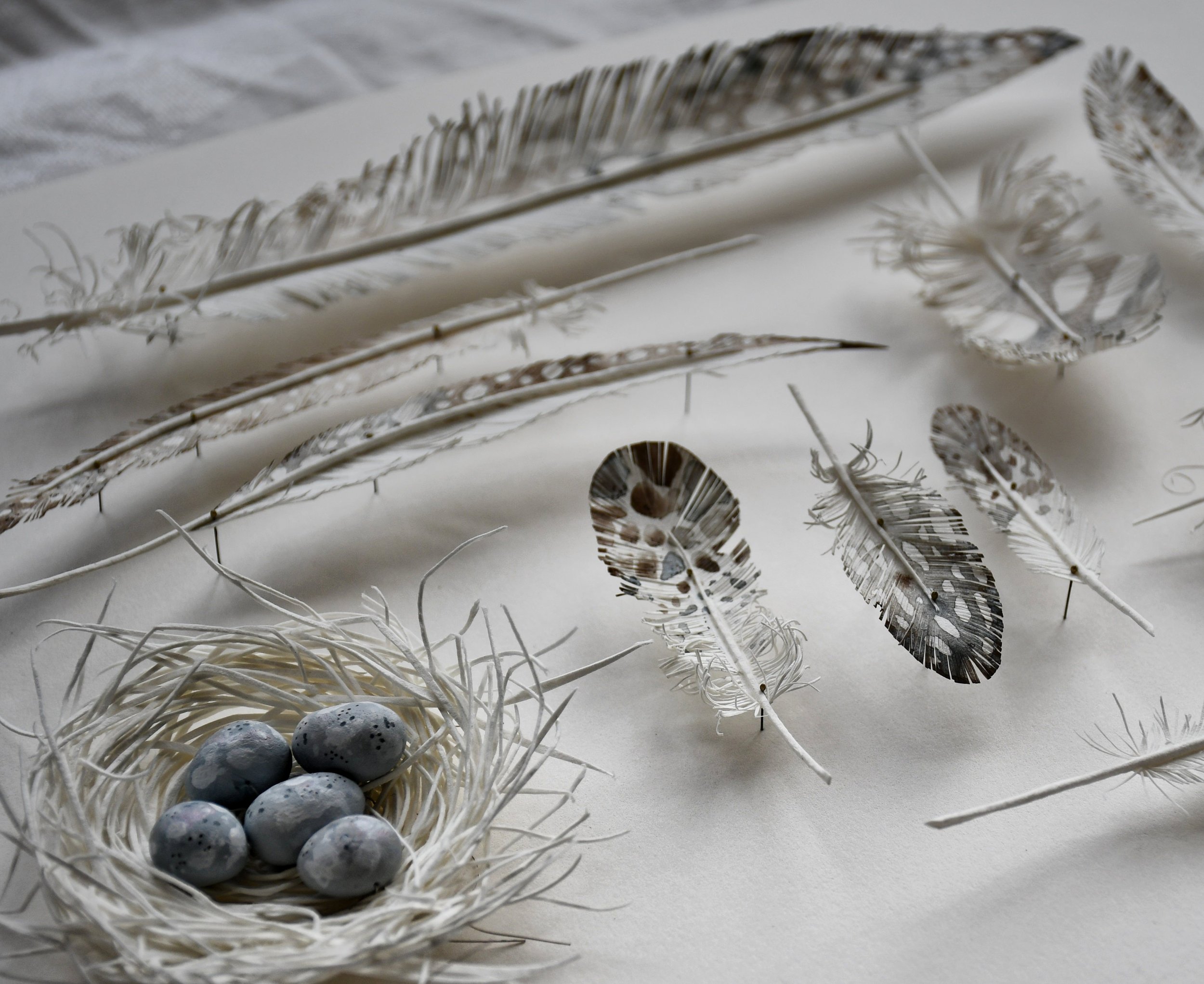 Colleen Southwell artist feather nest.jpeg