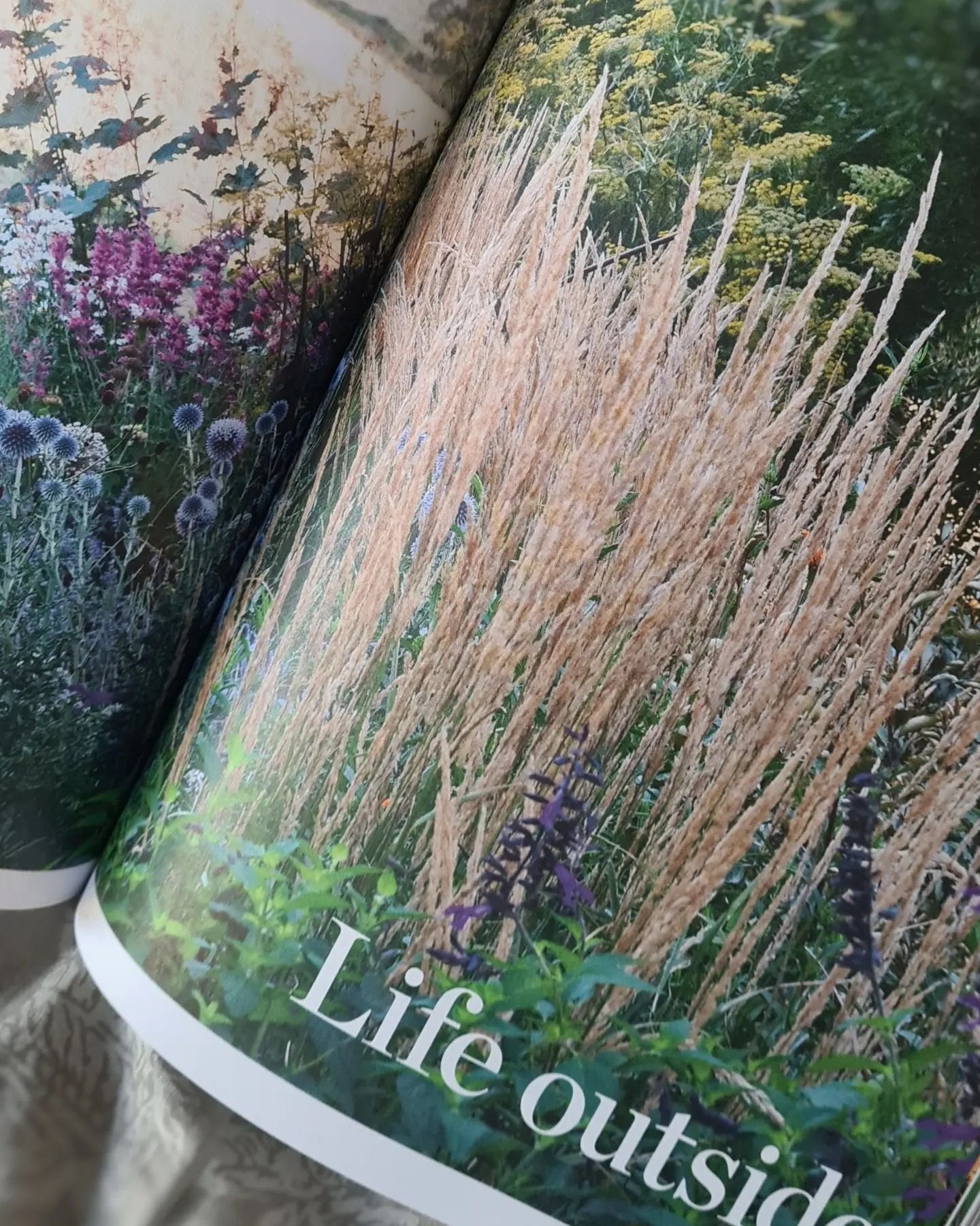 Habitus is a beautiful magazine, so it's such a pleasure to have contributed a little bit of home, and a few thoughts about the role of gardens in our lives to the current issue - not to mention humbled to share the pages with the fabulous @svalbe.co