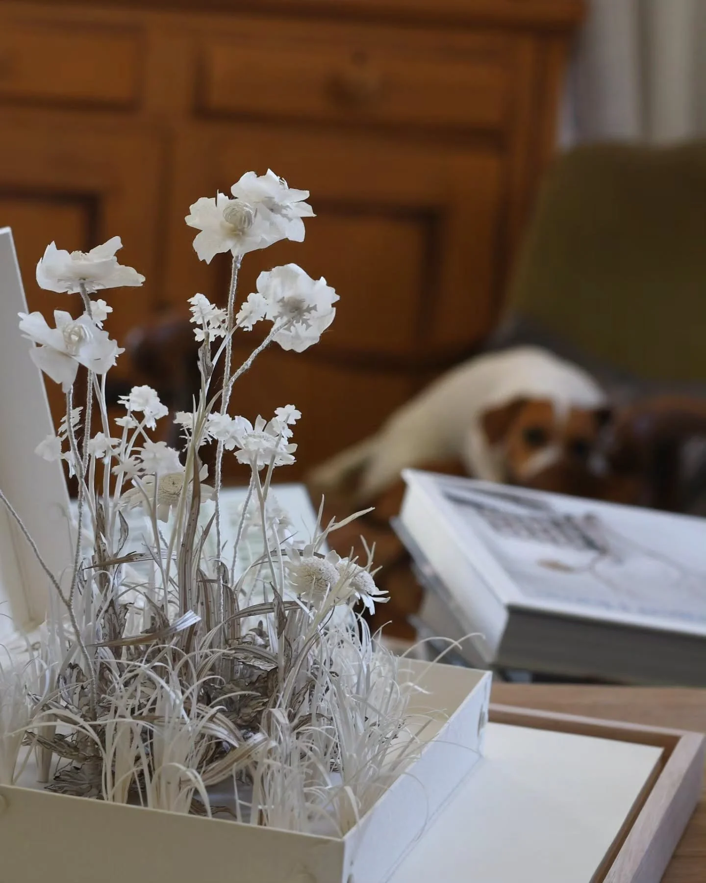 After a huge weekend @warren_open_garden_day , I'm back into the studio gardening with paper, and working on a big commission destined for Long Island, New York. The number of my works now in USA collections continues to grow, as do the paper flowers