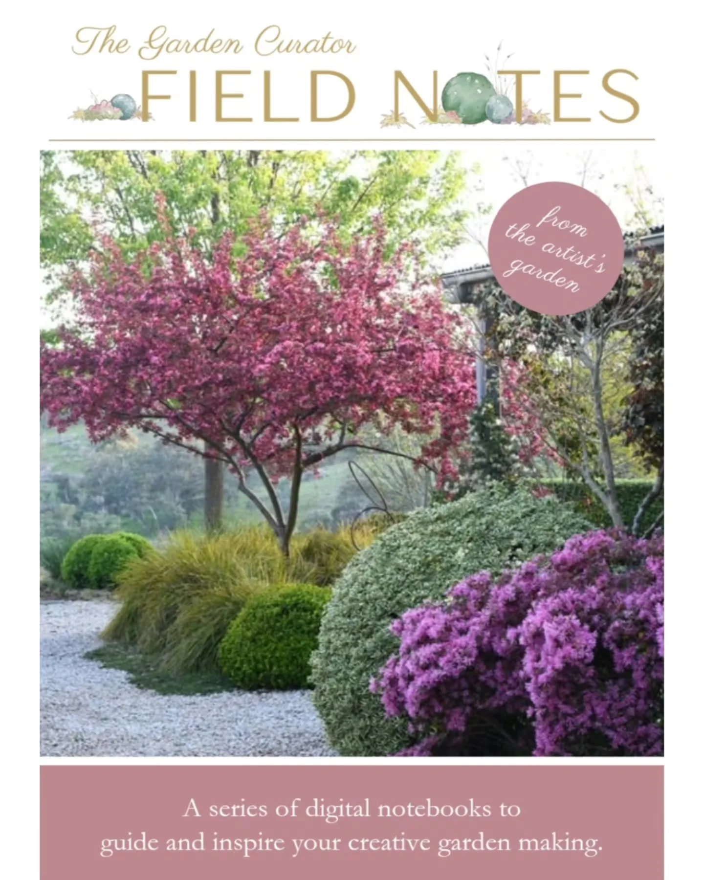 Something new to help your garden making is here!
After much reflection on the thoughts, questions, and comments my readers, subscribers and clients have shared with me over the years,  I'm super excited to release The Garden Curator Field Notes - fr