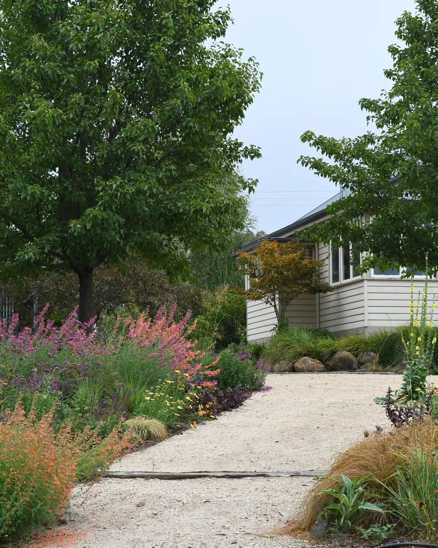 A little more info about this most recent garden project - the paths are 10cm deep crushed granite retained with 5mm x 100mm black steel strip. I dug the paths out by hand (I used the removed topsoil elsewhere), set the steel edging and laid the gran