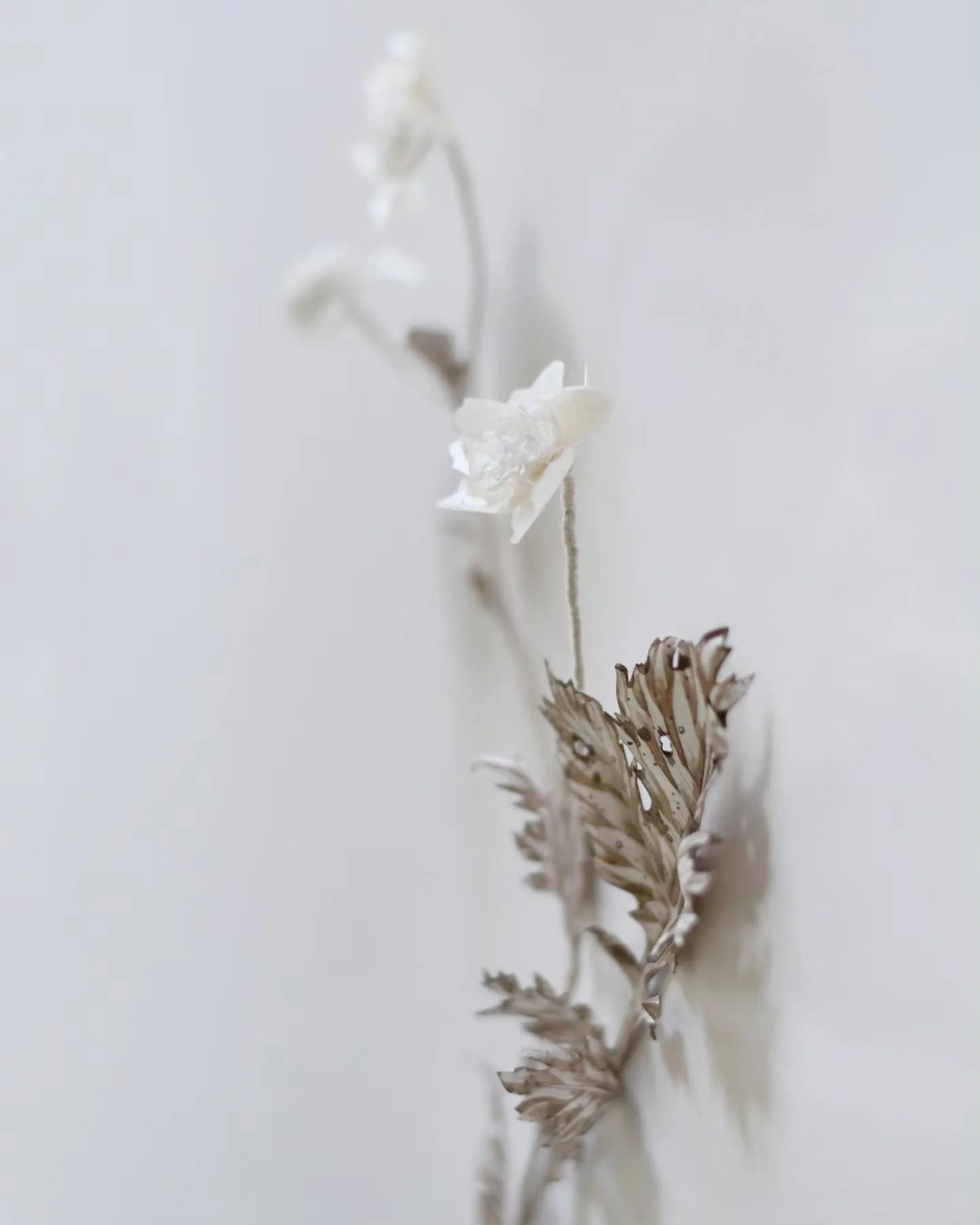 This year of art making is getting back to The Garden Curator roots - slow and mindful observation, stillness and quietness. It's not about filling space,  rather paying attention to gentle details, and the way they weave together to tell a story.  A